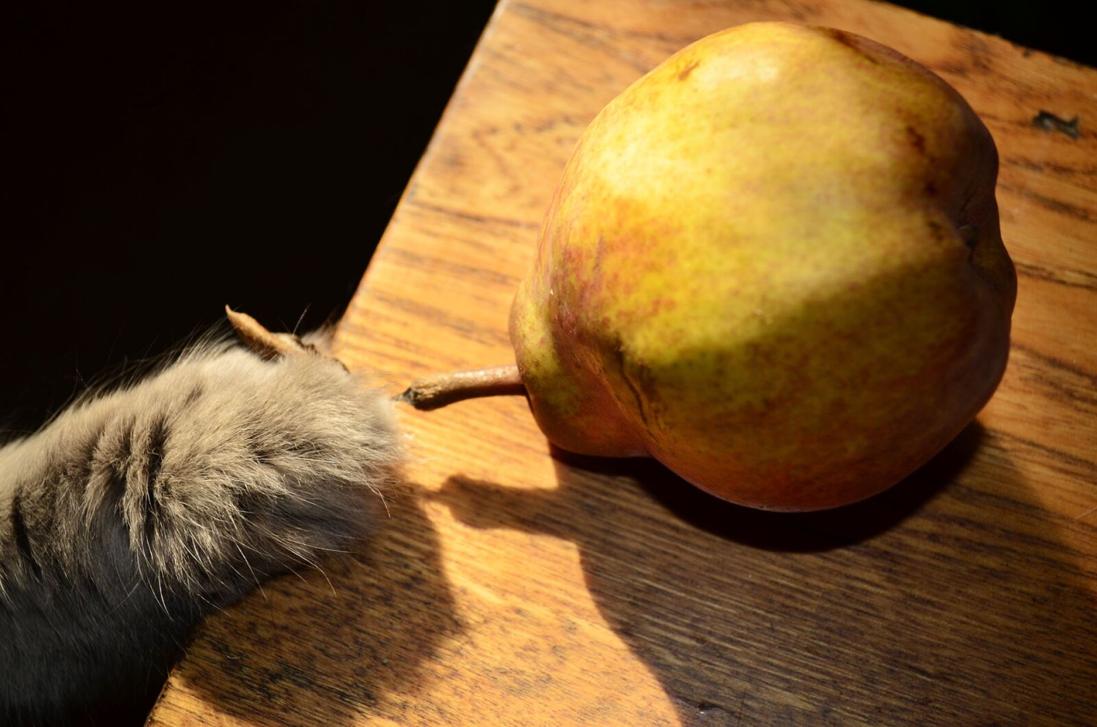Nikon D5100 sample photo. Food, fruit, pear photography