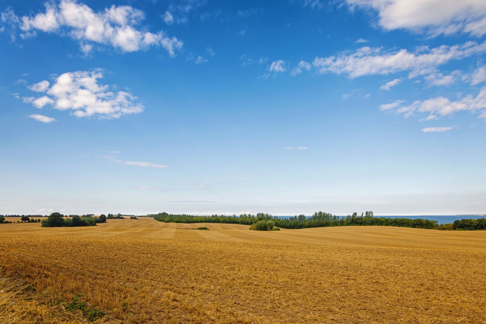 Tokina AT-X Pro 11-16mm F2.8 DX II sample photo. Field, grain, horizon photography