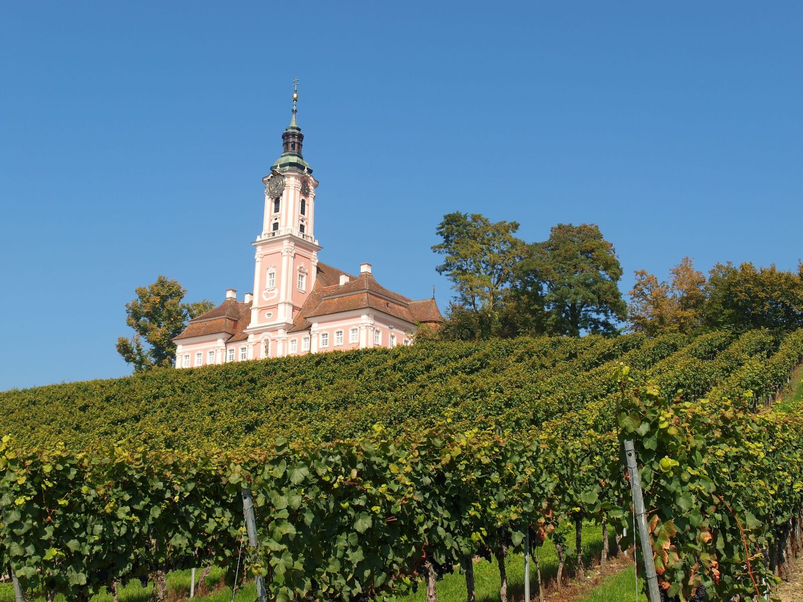 Olympus E-420 (EVOLT E-420) sample photo. Birnau, church, religious building photography