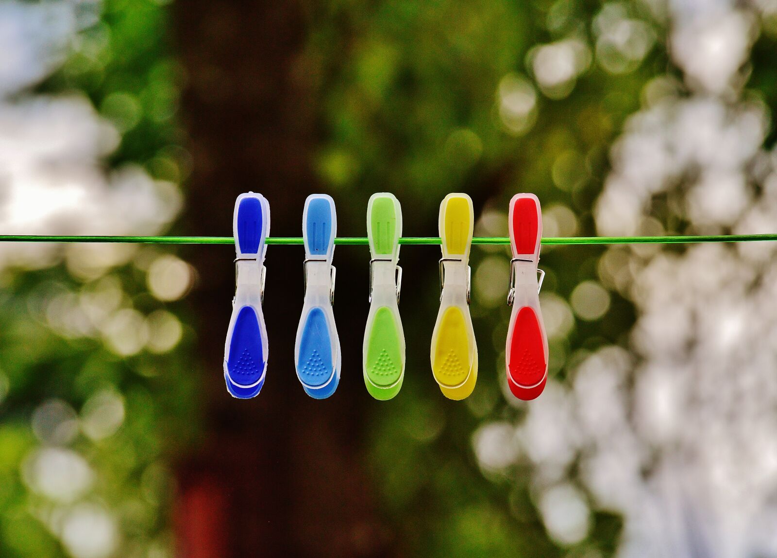 Nikon D3200 sample photo. Clothespins, leash, colorful photography