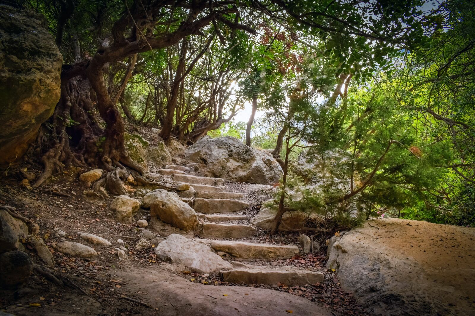 Nikon D3300 sample photo. Cyprus, akamas, national park photography