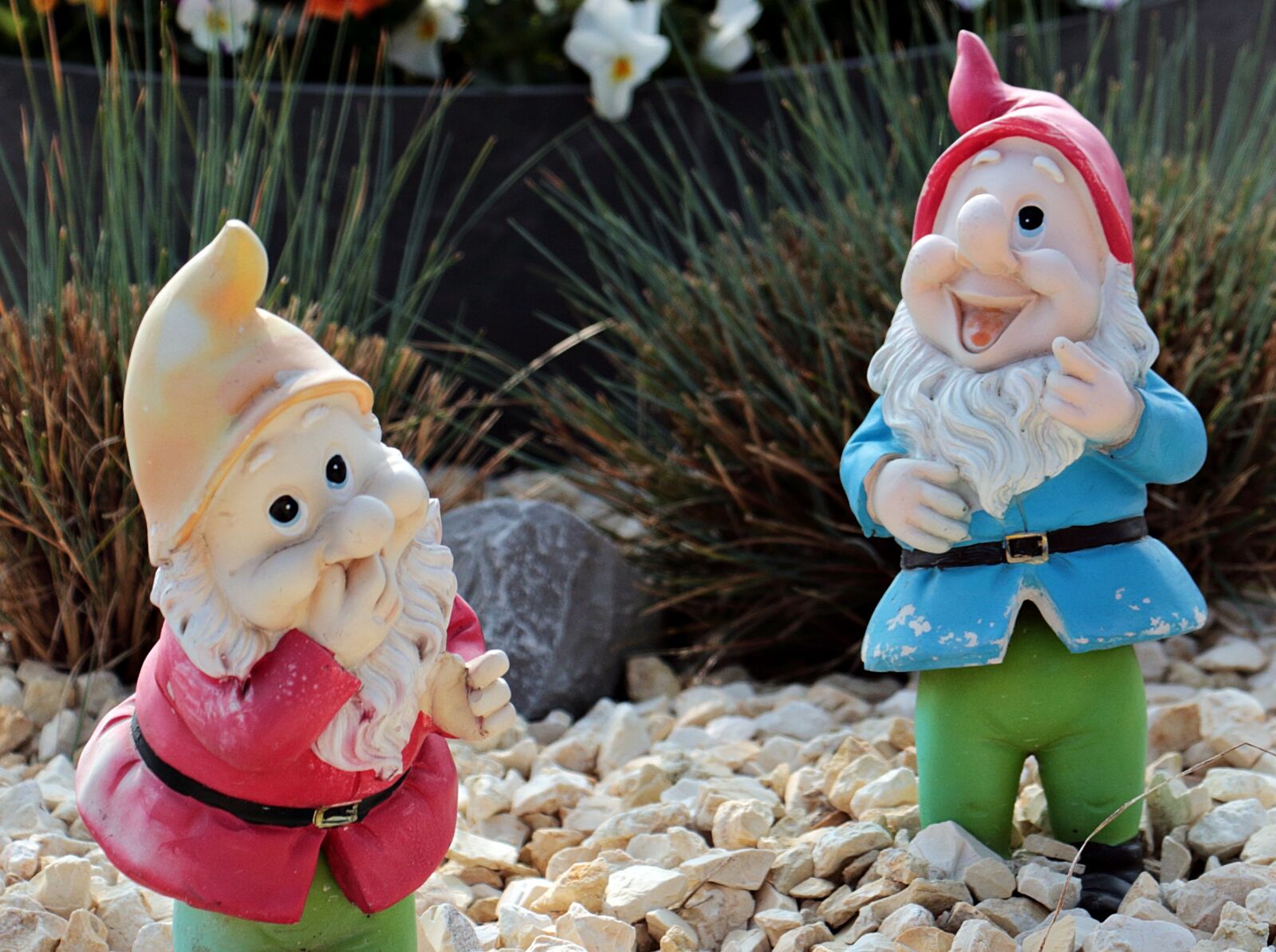 Canon EOS 100D (EOS Rebel SL1 / EOS Kiss X7) sample photo. Garden gnomes, dwarfs, decoration photography
