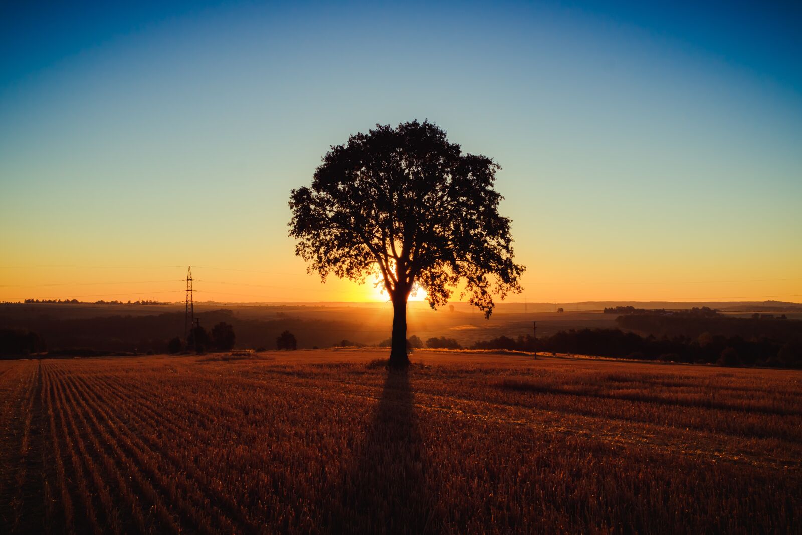 Canon EOS 750D (EOS Rebel T6i / EOS Kiss X8i) sample photo. Landscape, tree, sunrise photography
