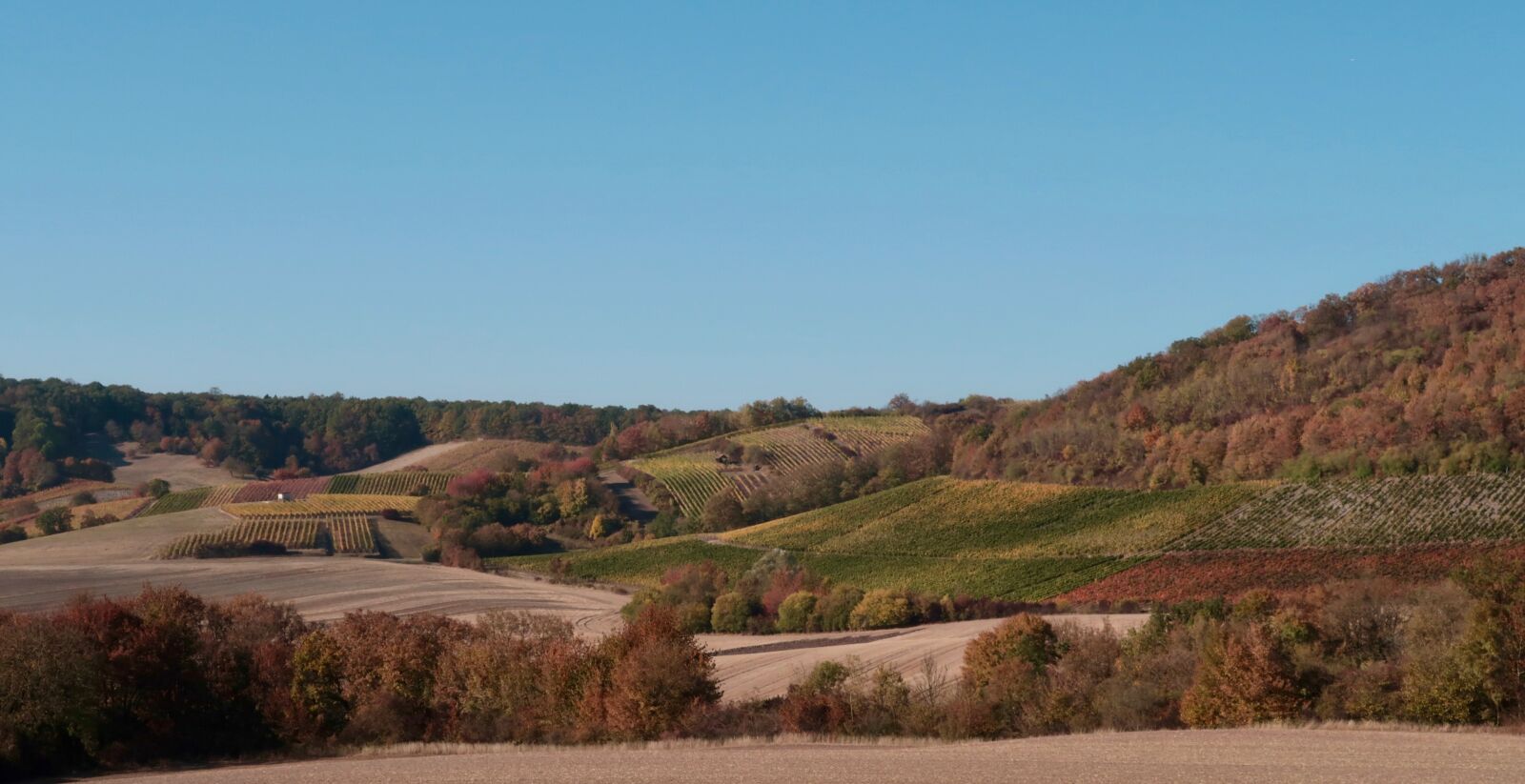 Canon PowerShot G7 X Mark II sample photo. Landscape, agriculture, autumn photography