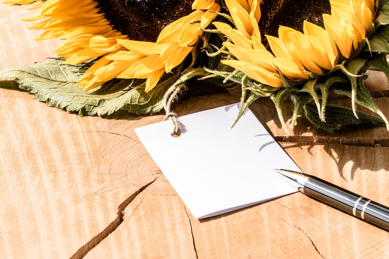 Canon EF-S 60mm F2.8 Macro USM sample photo. Greeting card, thank you photography
