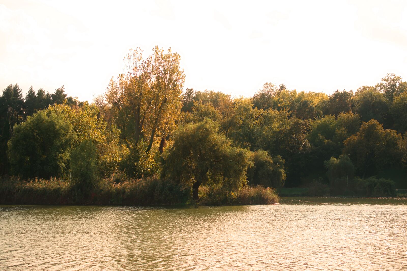 Nikon D5300 sample photo. Landscape, nature, lake photography