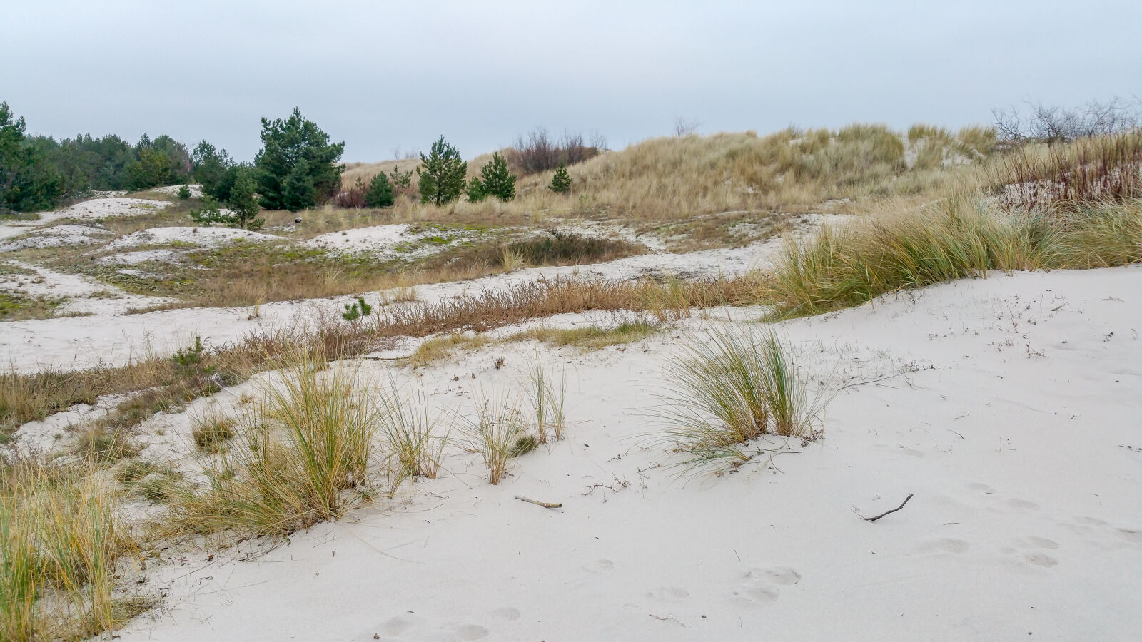 Samsung Galaxy Note4 sample photo. Beach, coast, dunes, hel photography