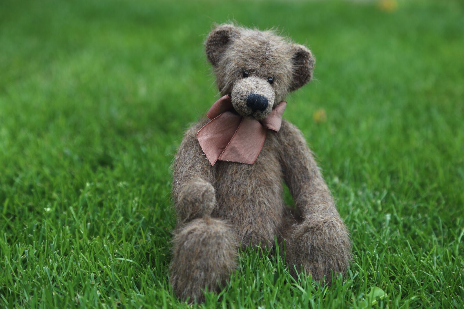 Canon EOS 6D + Canon EF 24-105mm F4L IS USM sample photo. Teddy, plush, bears photography