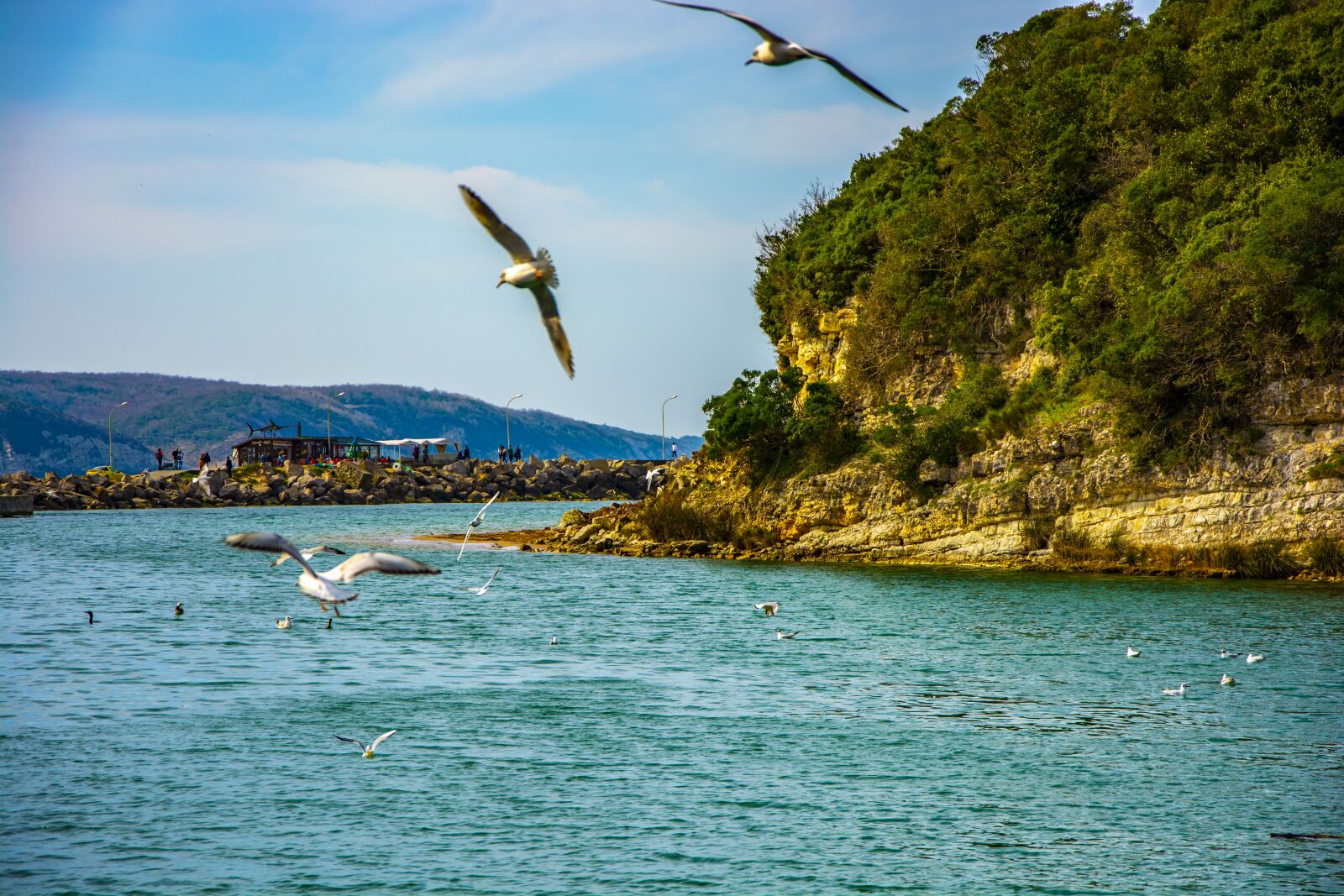 Nikon D5200 sample photo. Ağva, marine, nature photography