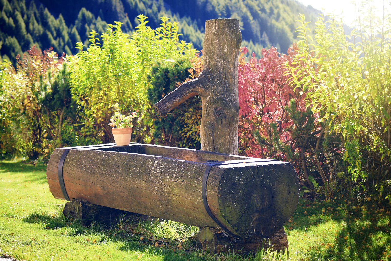 Canon EOS 70D sample photo. Autumn, fountain, tree photography