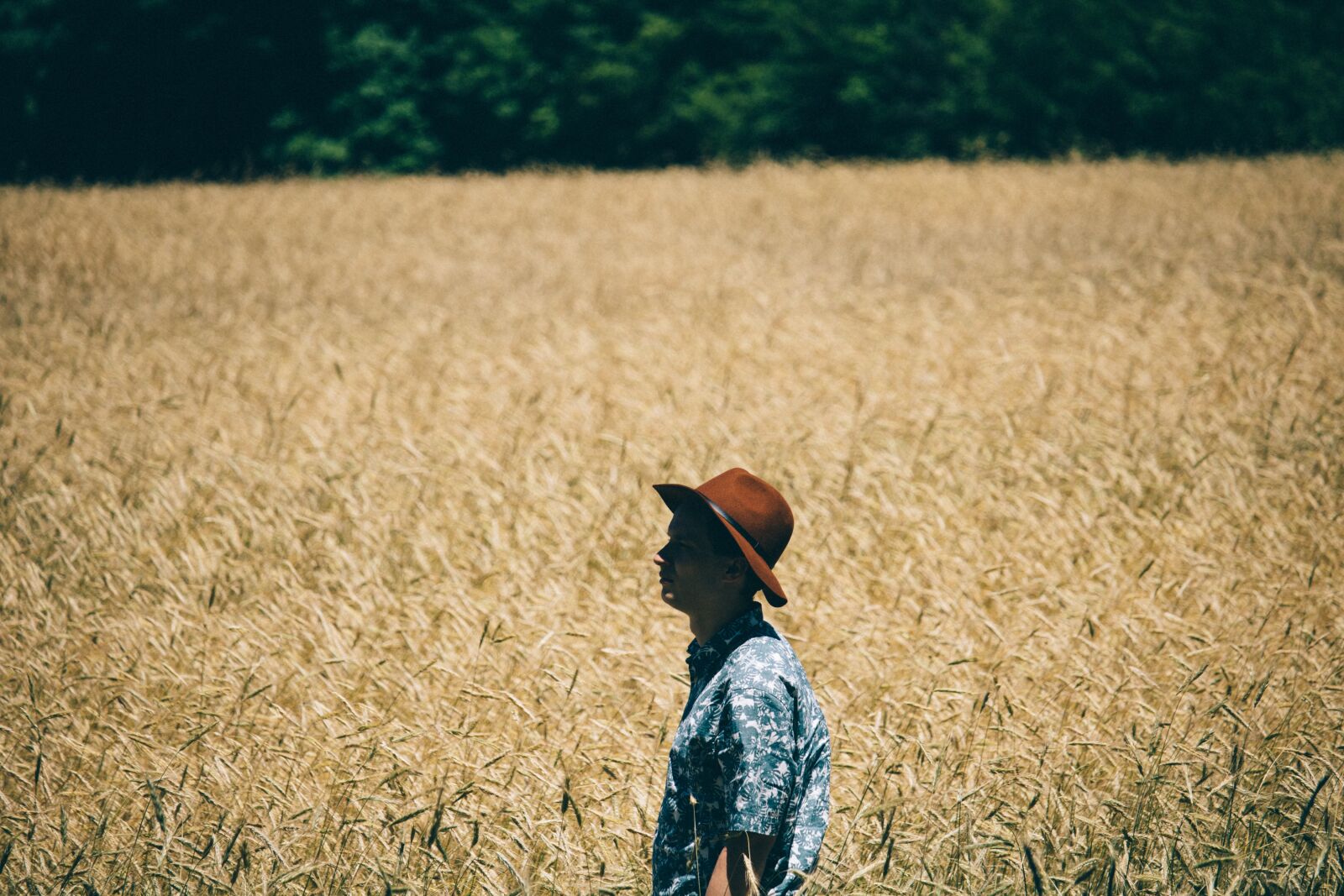 Canon EOS 750D (EOS Rebel T6i / EOS Kiss X8i) sample photo. Field, man, alone photography