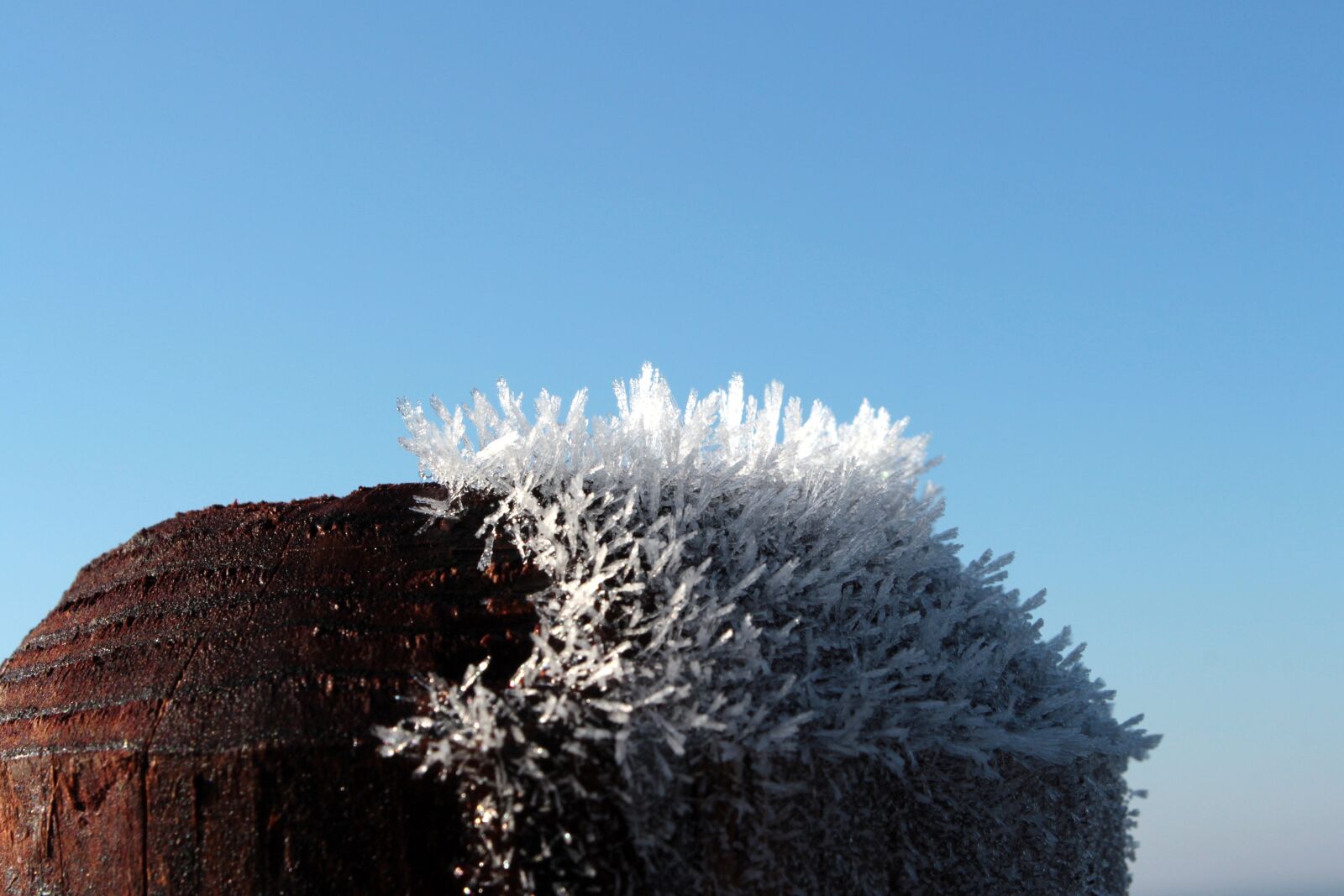 Canon EOS 650D (EOS Rebel T4i / EOS Kiss X6i) sample photo. Wood pile, frost, frozen photography