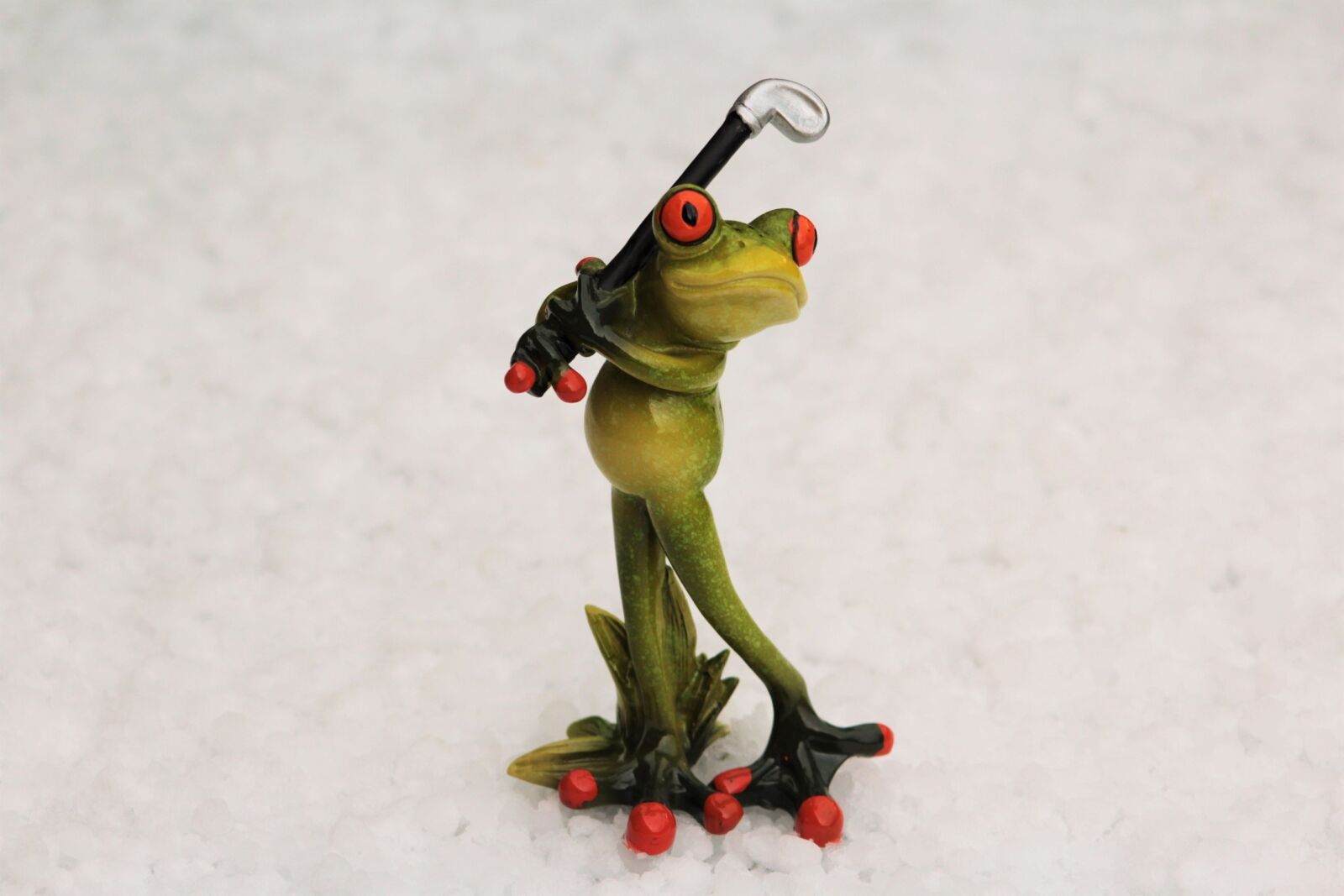 Canon EF 75-300mm f/4-5.6 sample photo. Frog, golf, golf clubs photography