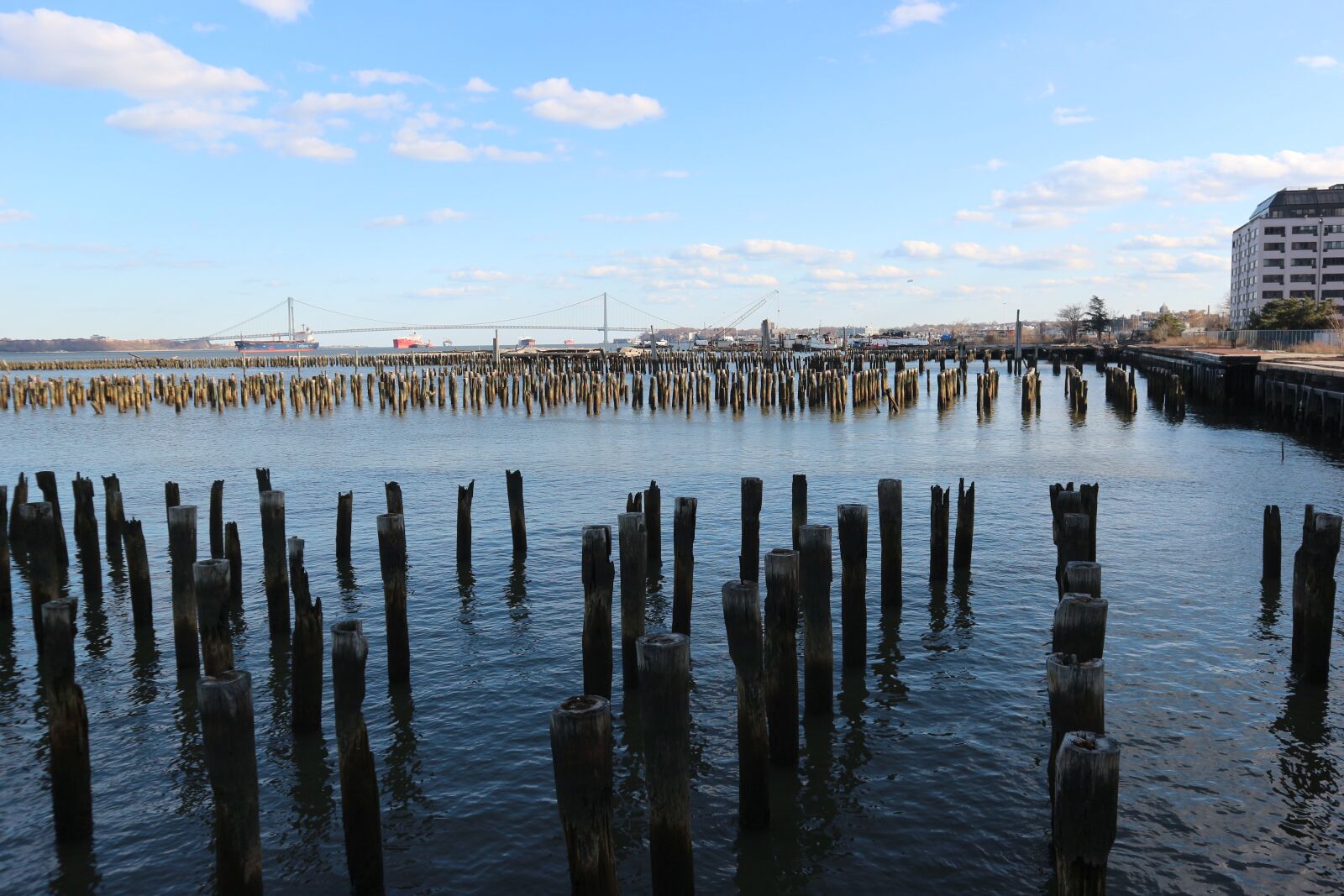 Canon EF-M 15-45mm F3.5-6.3 IS STM sample photo. Nyc, new york, staten photography