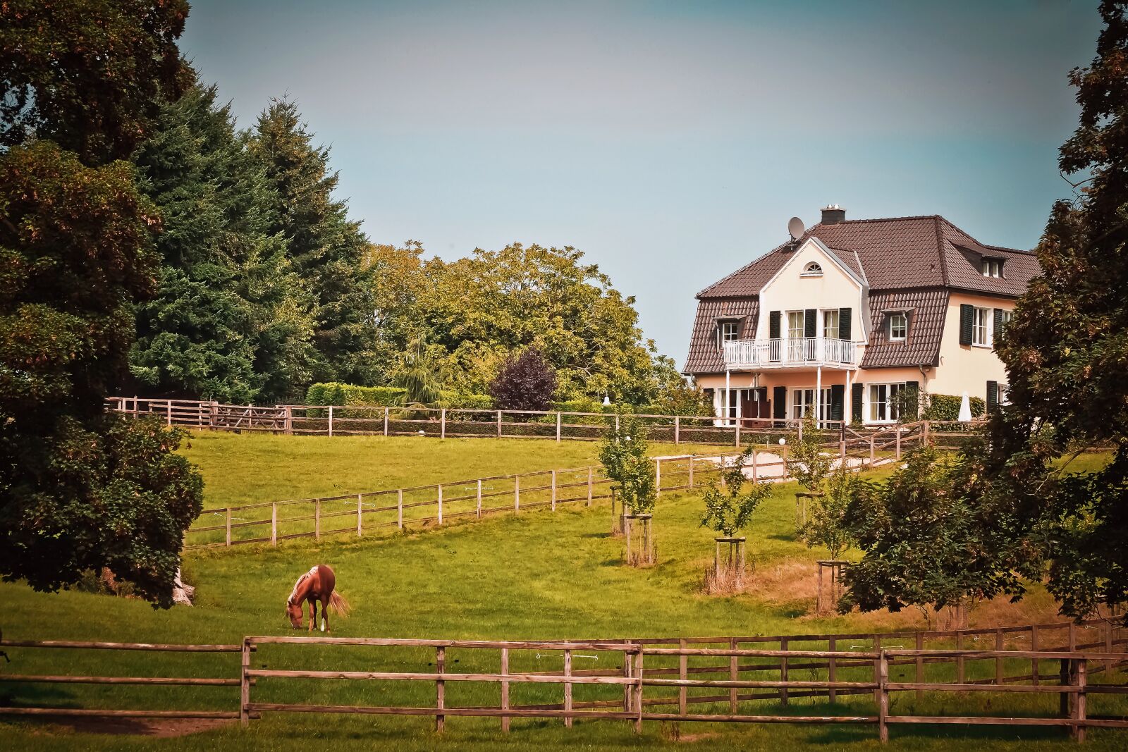 Olympus OM-D E-M10 sample photo. Landscape, idyll, rest photography