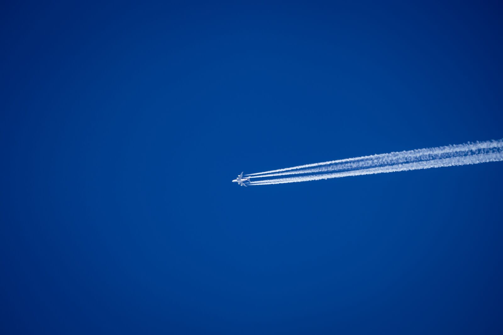 Canon EOS 200D (EOS Rebel SL2 / EOS Kiss X9) sample photo. Aircraft, flight, sky photography