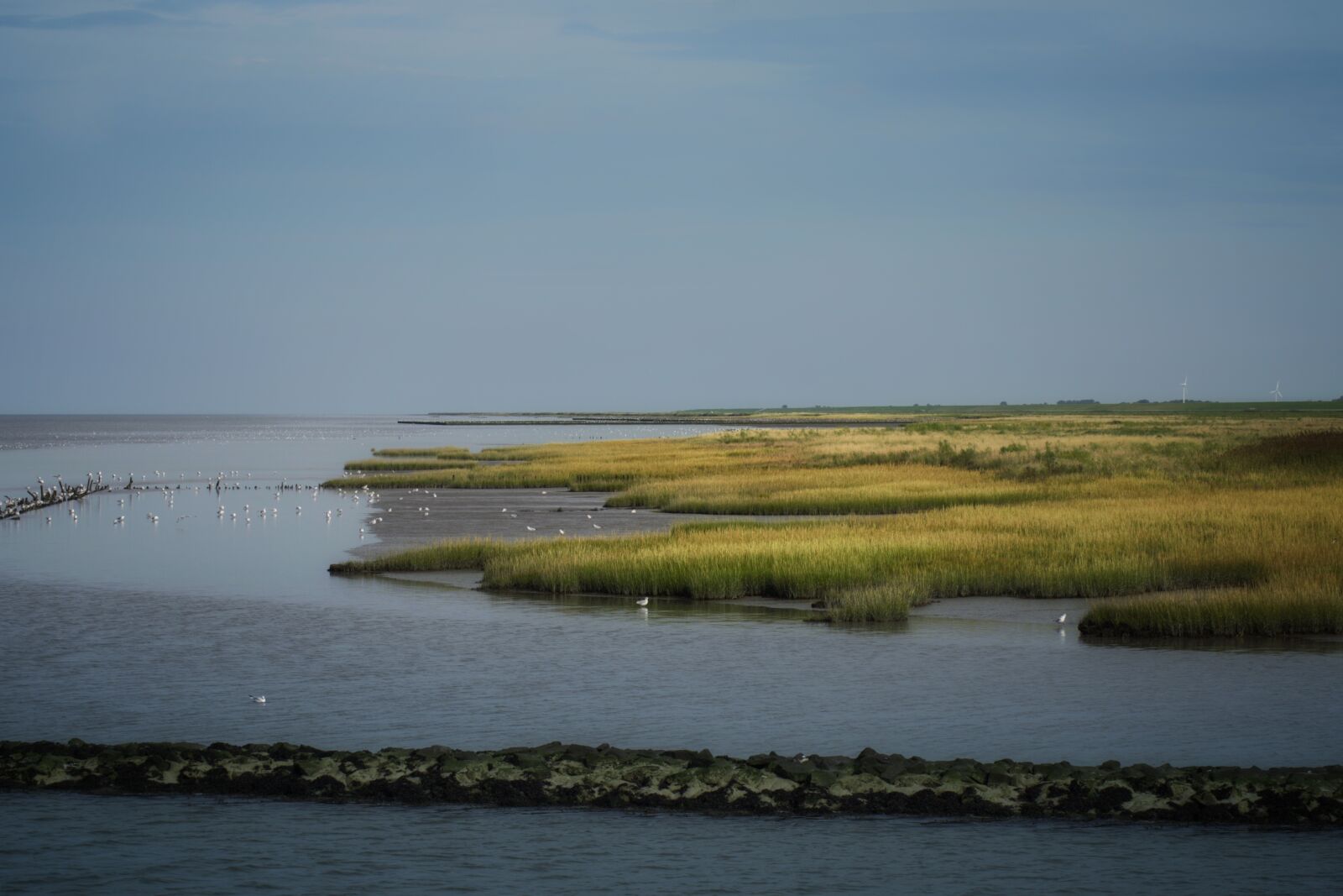 Pentax K-70 sample photo. Salt marshes, north sea photography
