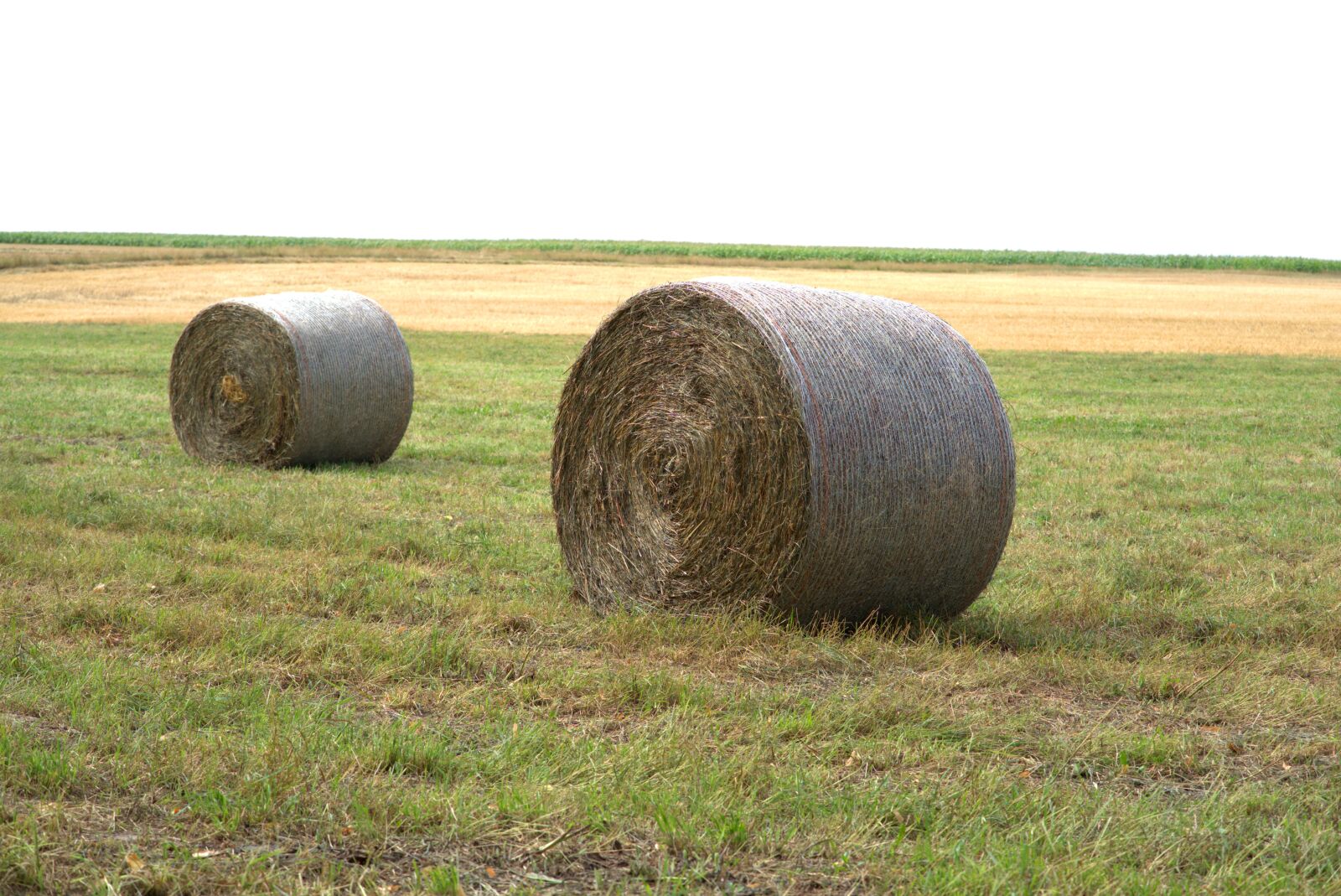 Sony a7 II + Sony FE 85mm F1.8 sample photo. Straw, harvest, straw bales photography