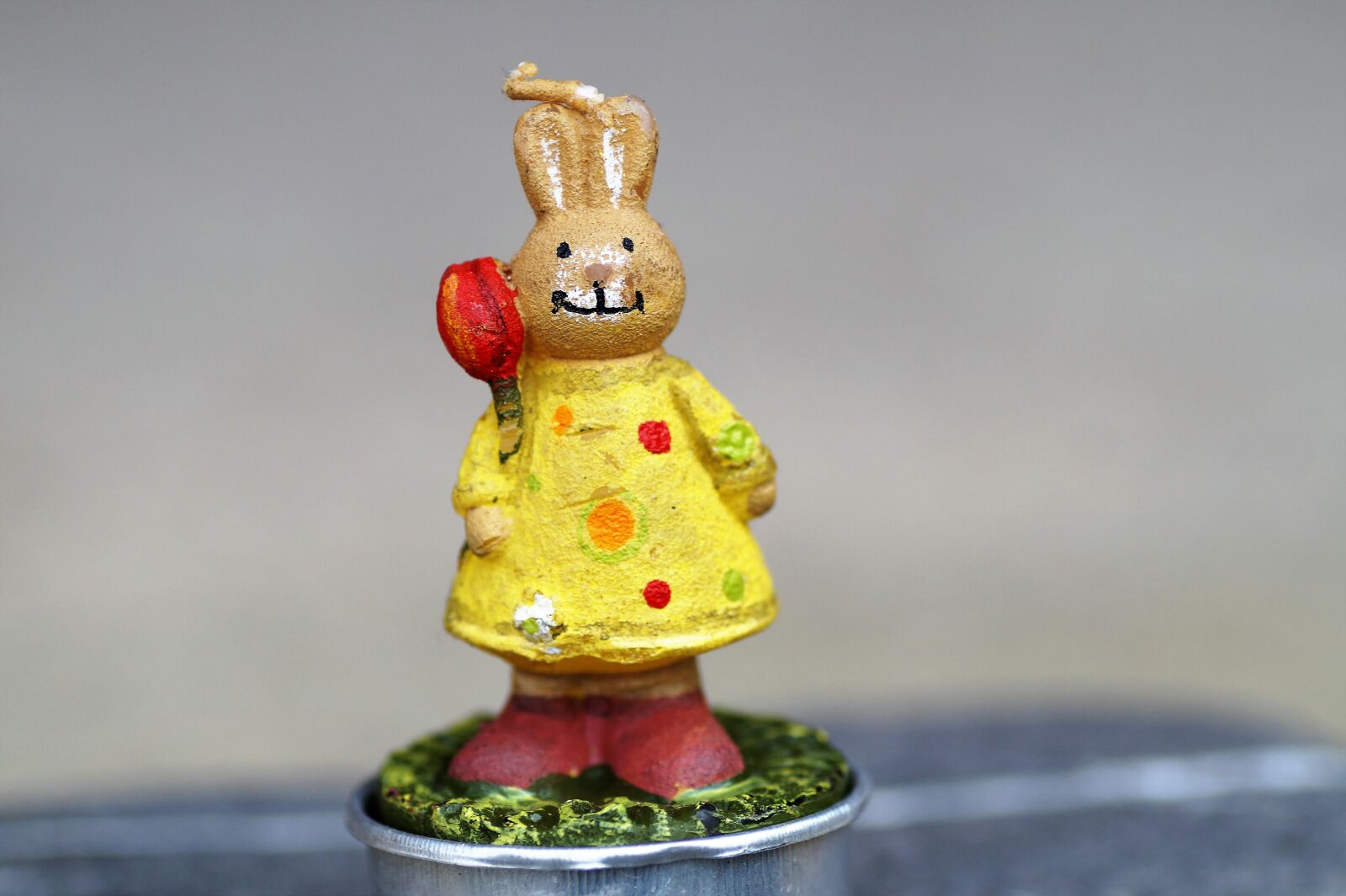 Sony SLT-A58 sample photo. Bunny girl, female hares photography