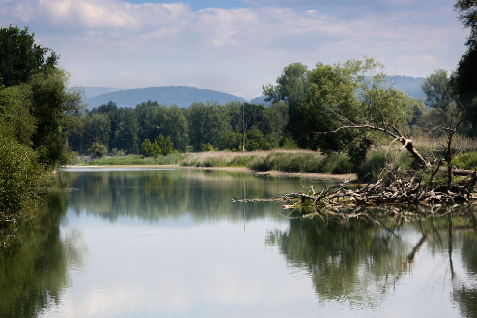 Canon EF 100-400mm F4.5-5.6L IS USM sample photo. Water, danube, beach photography