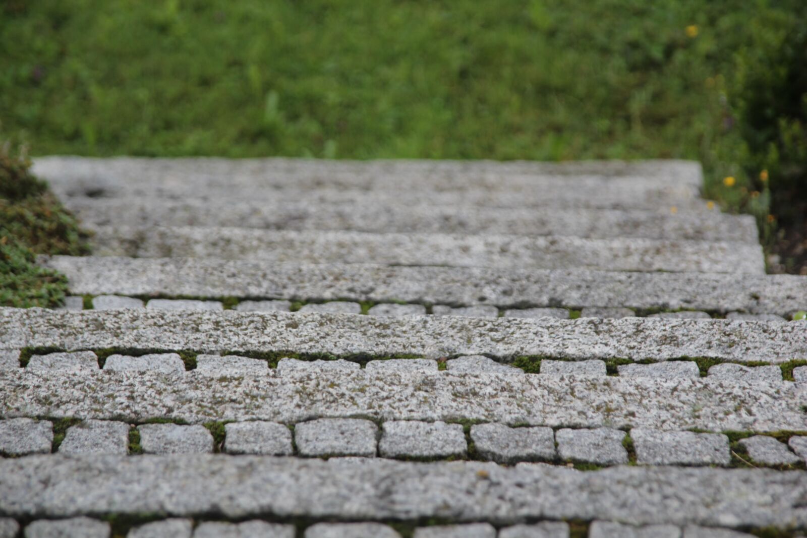 Canon EOS 550D (EOS Rebel T2i / EOS Kiss X4) sample photo. Stairs, garden stairs, stone photography