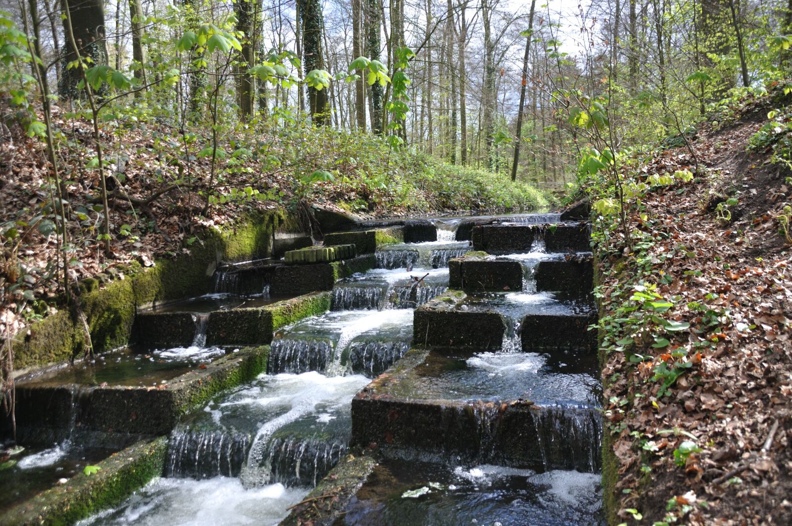 Nikon D90 sample photo. Waters, nature, wood photography