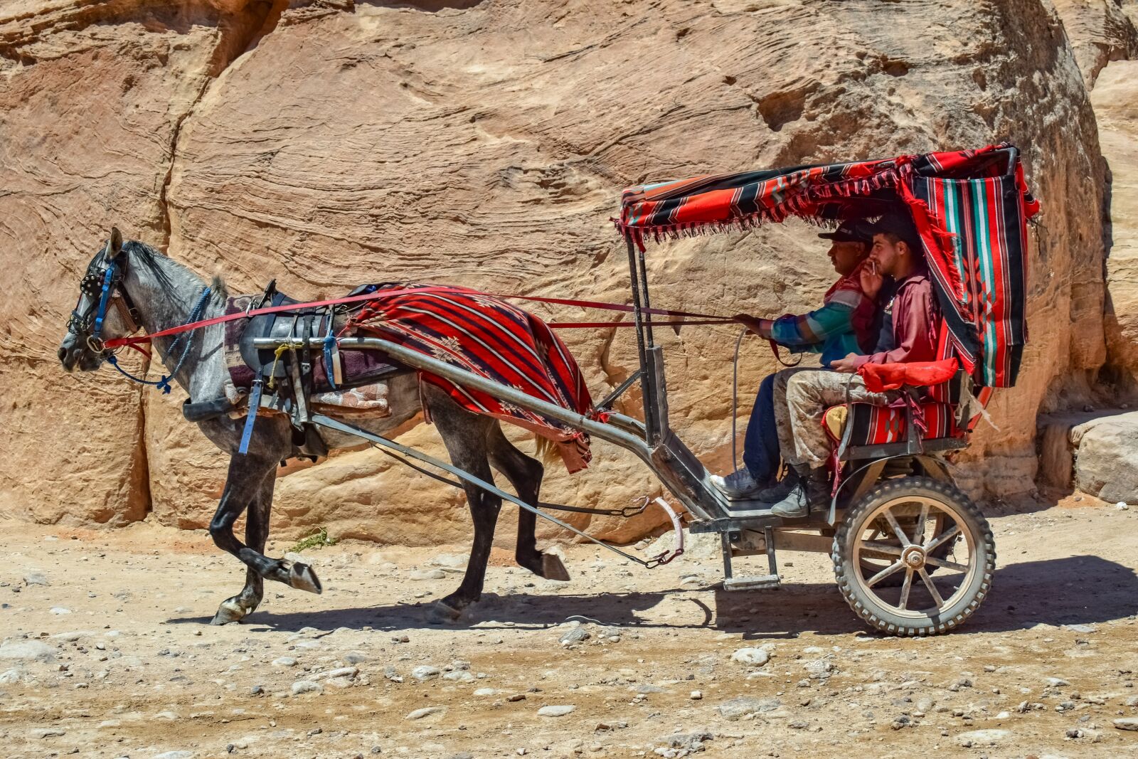 Nikon D3300 sample photo. Coach, carriage, al siq photography
