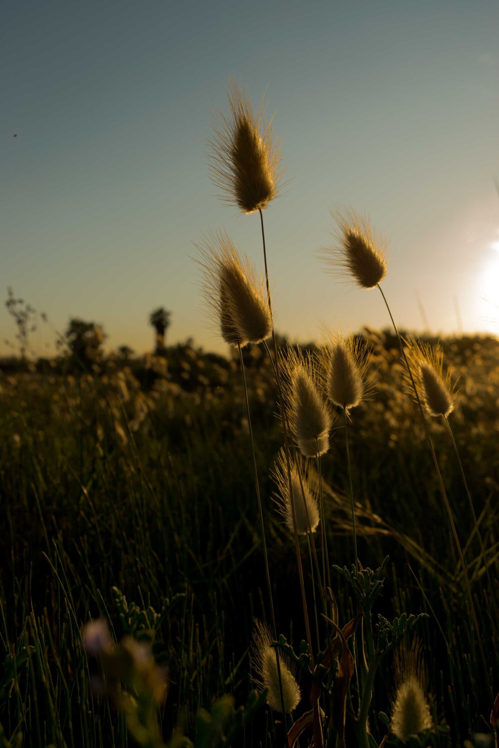 Nikon D5300 sample photo. Landscape, spring, sunset photography
