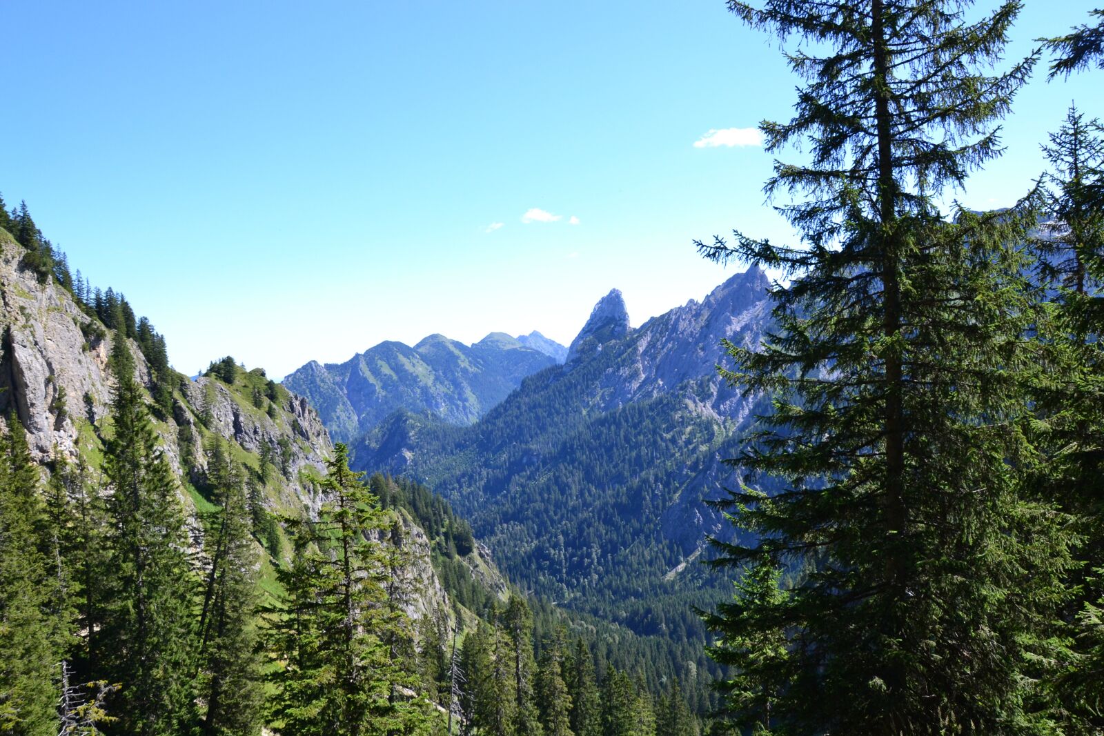 Nikon D3100 sample photo. Allg u, mountains, mountain photography