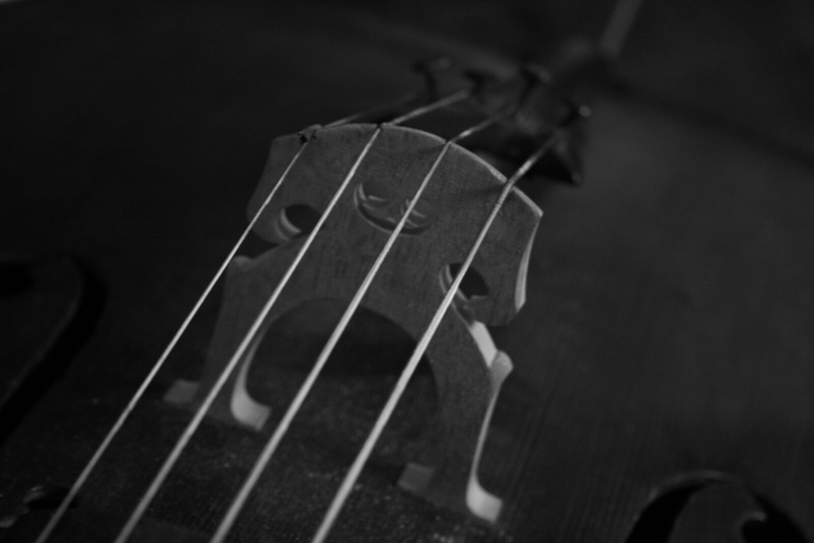 Canon EOS 400D (EOS Digital Rebel XTi / EOS Kiss Digital X) sample photo. Music, cello, stringed instrument photography