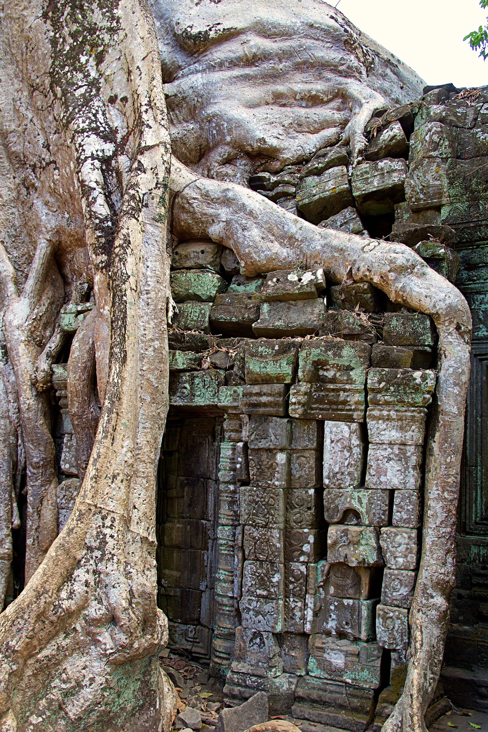 Canon EOS 600D (Rebel EOS T3i / EOS Kiss X5) sample photo. Cambodia, siem reap, angkor photography