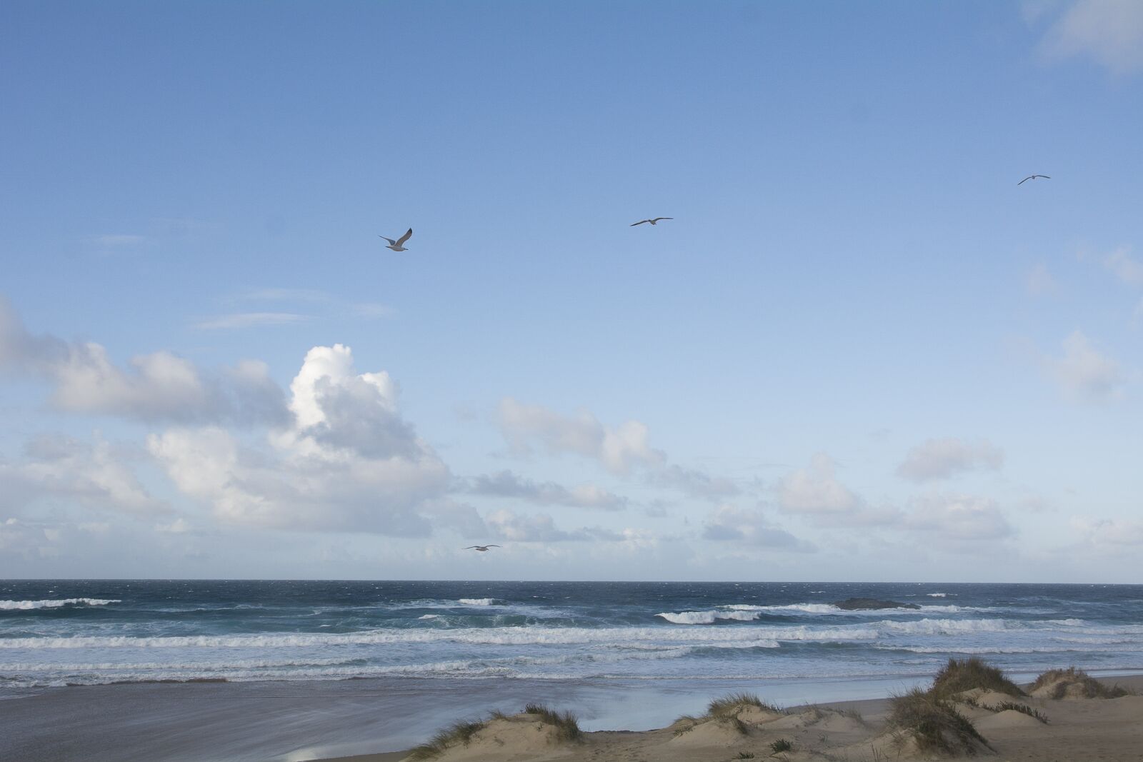 Nikon D7100 sample photo. Sea, beach, holiday photography