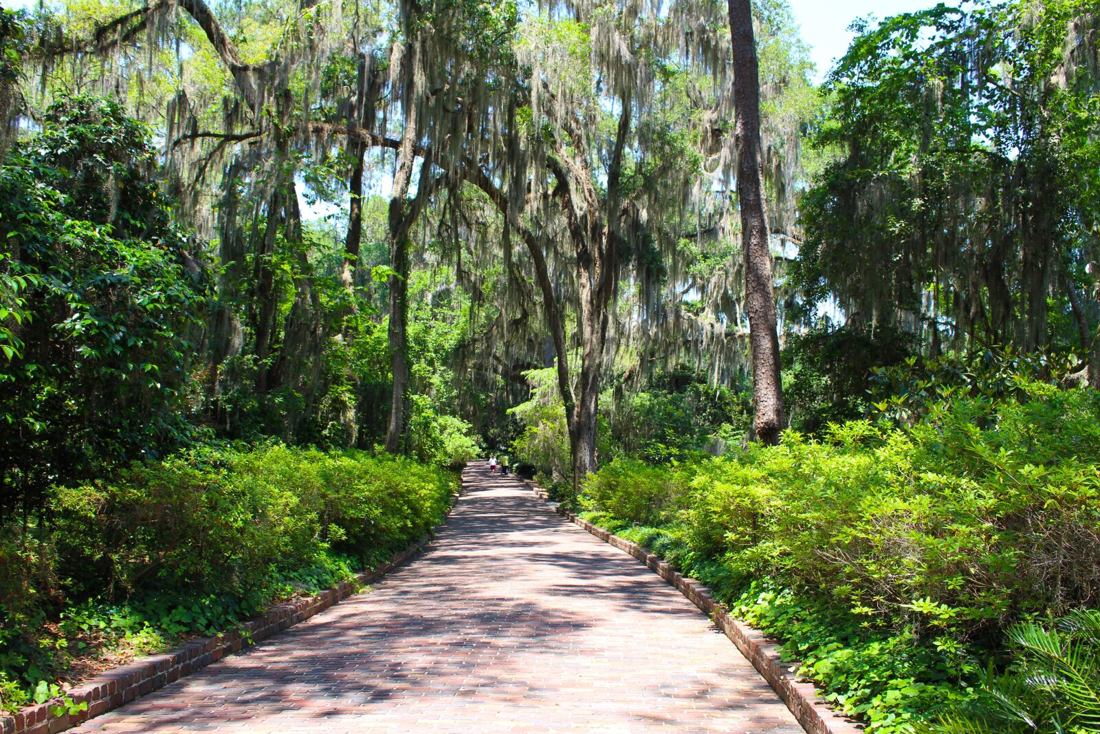 Canon EOS 100D (EOS Rebel SL1 / EOS Kiss X7) sample photo. Path, brick, trees photography