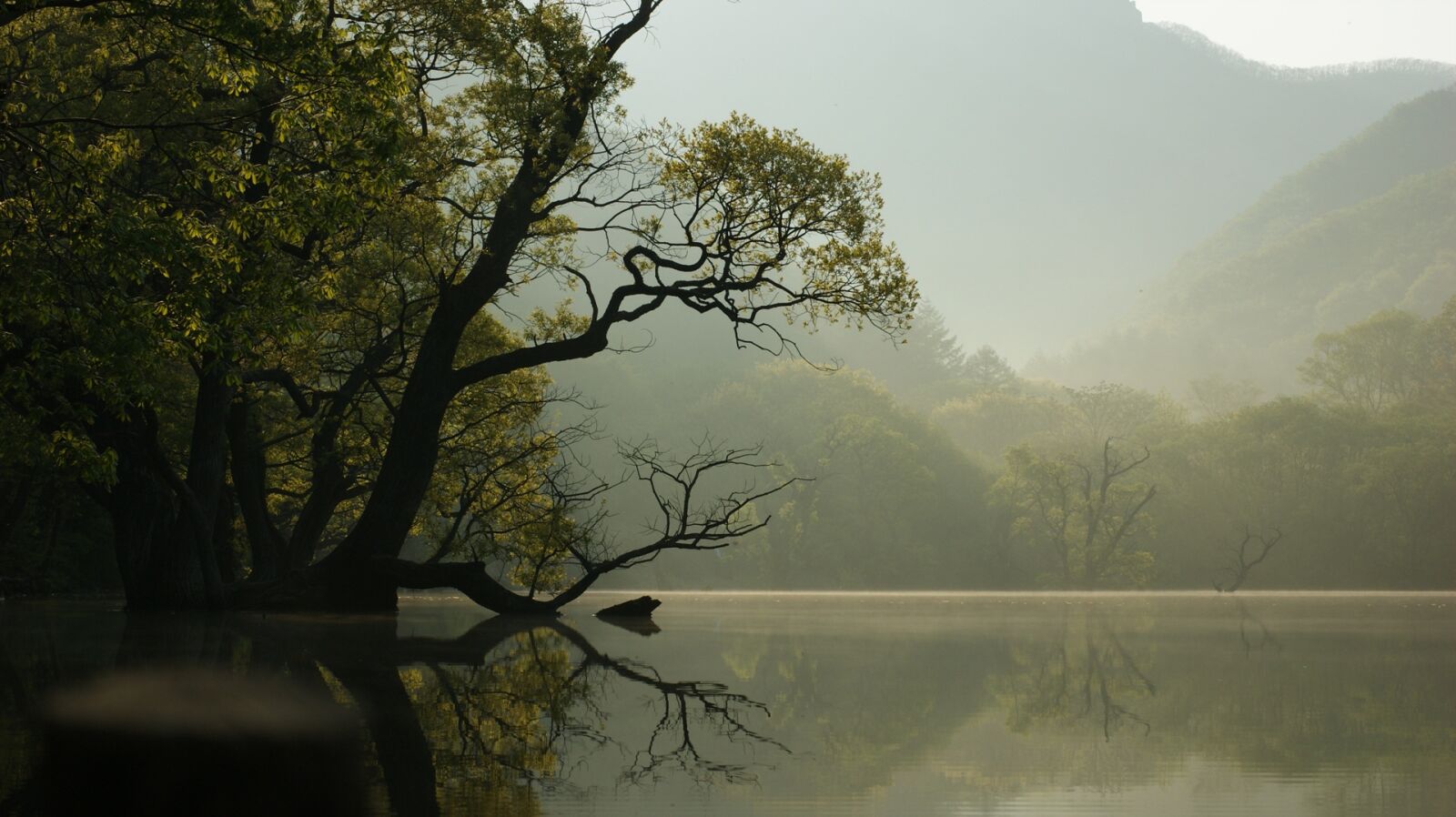 Sony Alpha DSLR-A350 sample photo. The main production, wangbeodeul photography