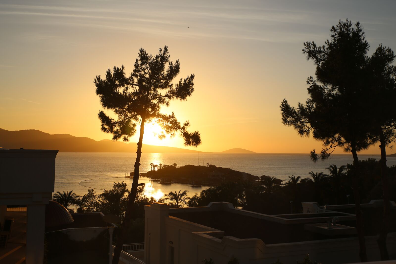 Canon EOS 5D Mark III sample photo. Sunset, palm trees, trees photography