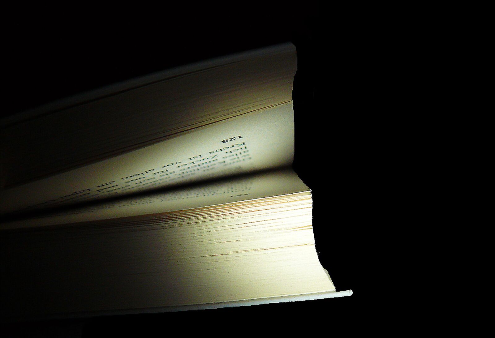 Leica V-LUX 1 sample photo. Book, book pages, read photography