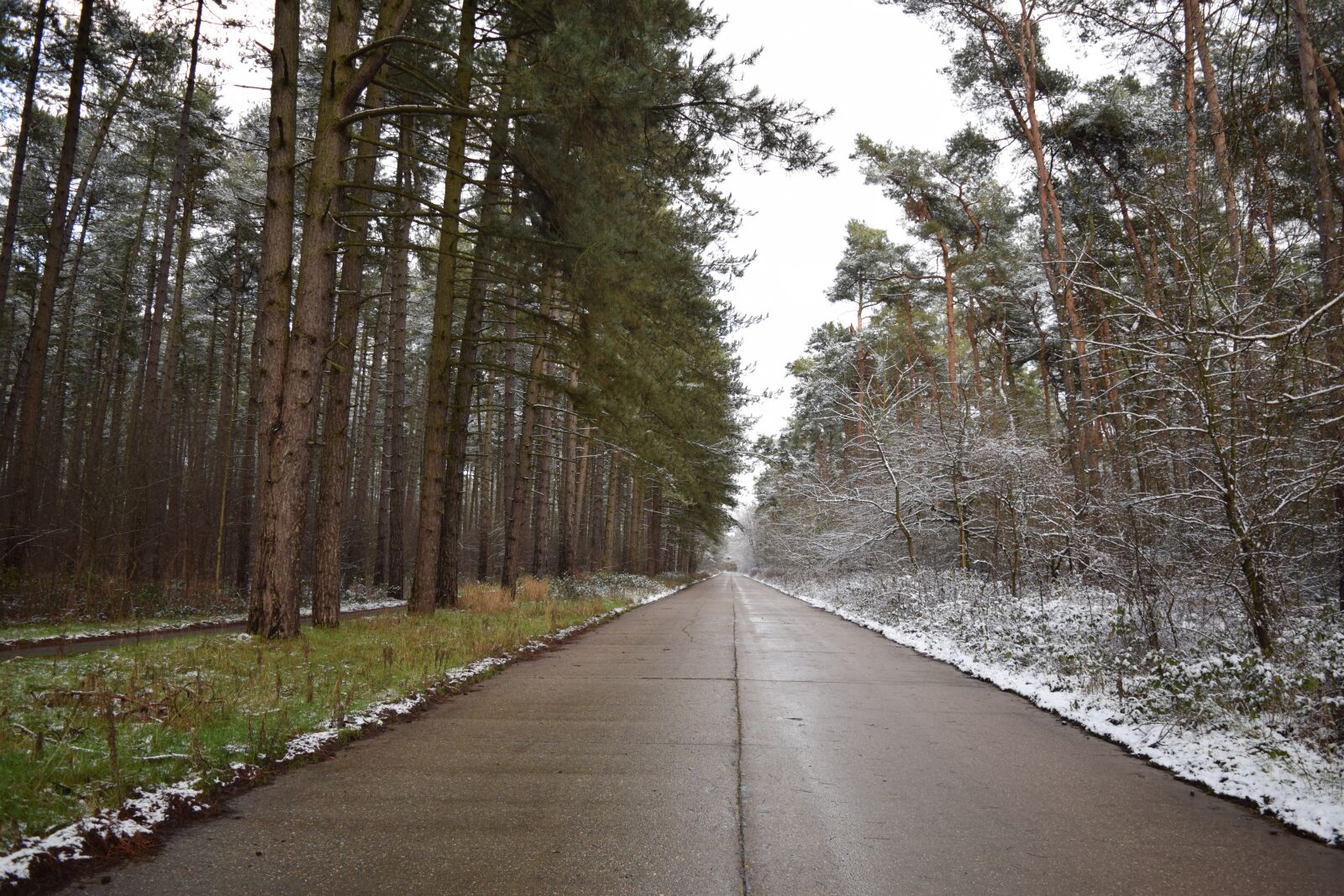 Nikon D3300 sample photo. Road, snow, winter photography