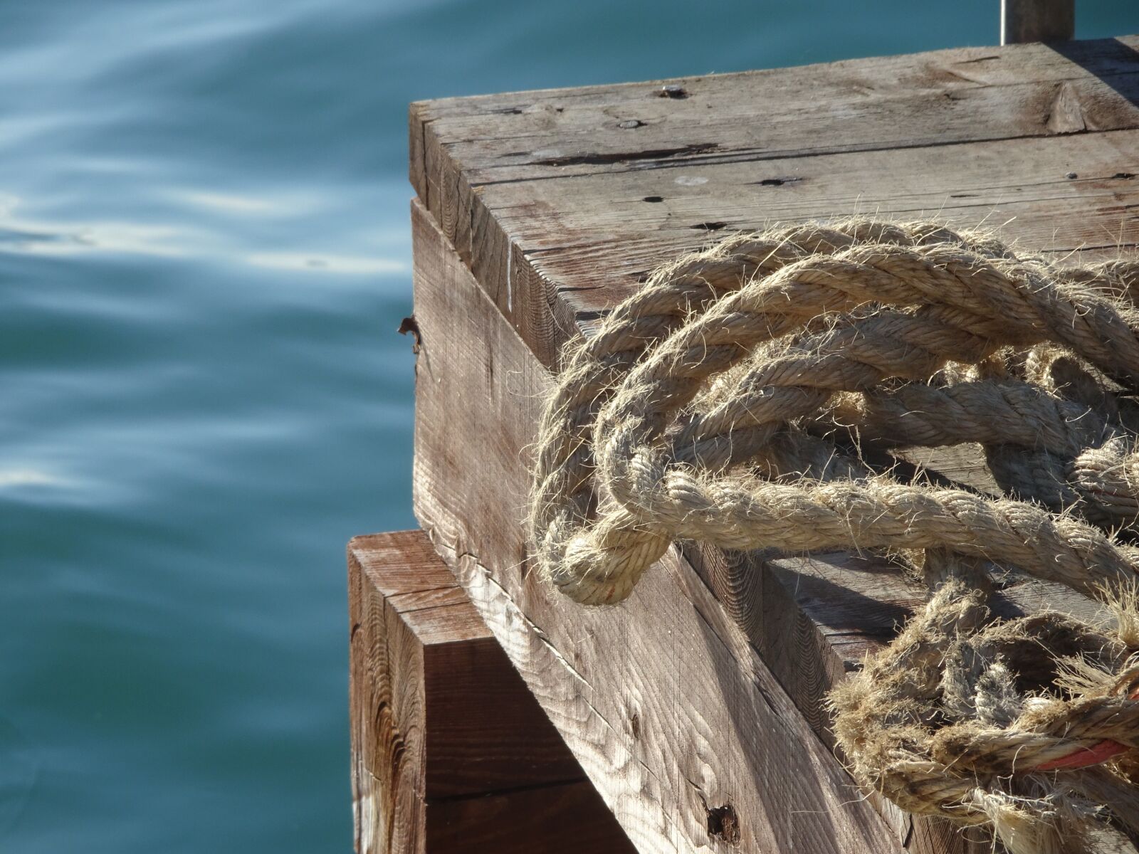 Sony Cyber-shot DSC-HX90V sample photo. Rope, water, waterpolo photography
