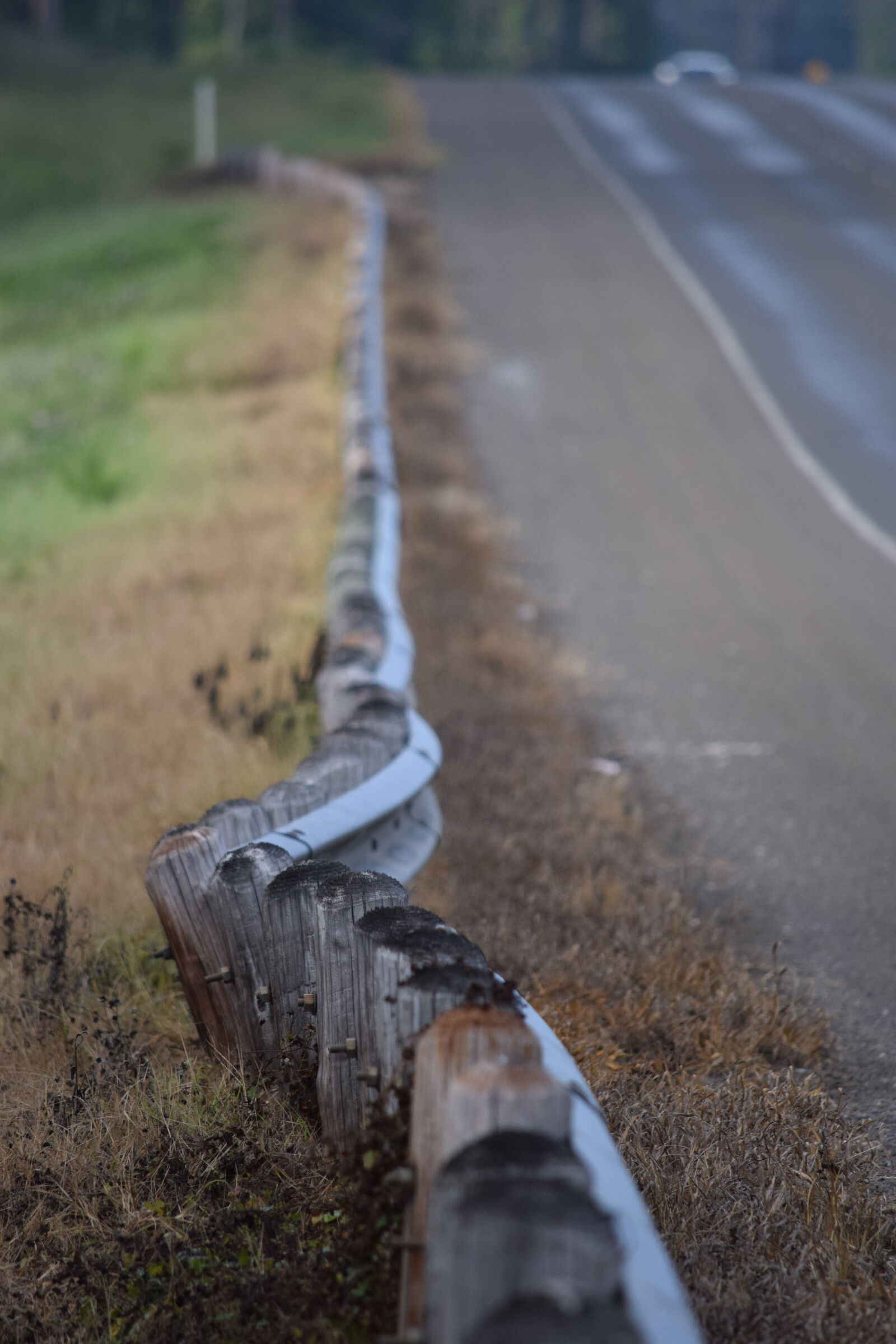 Nikon D5300 sample photo. Wooden, small, fences, along photography
