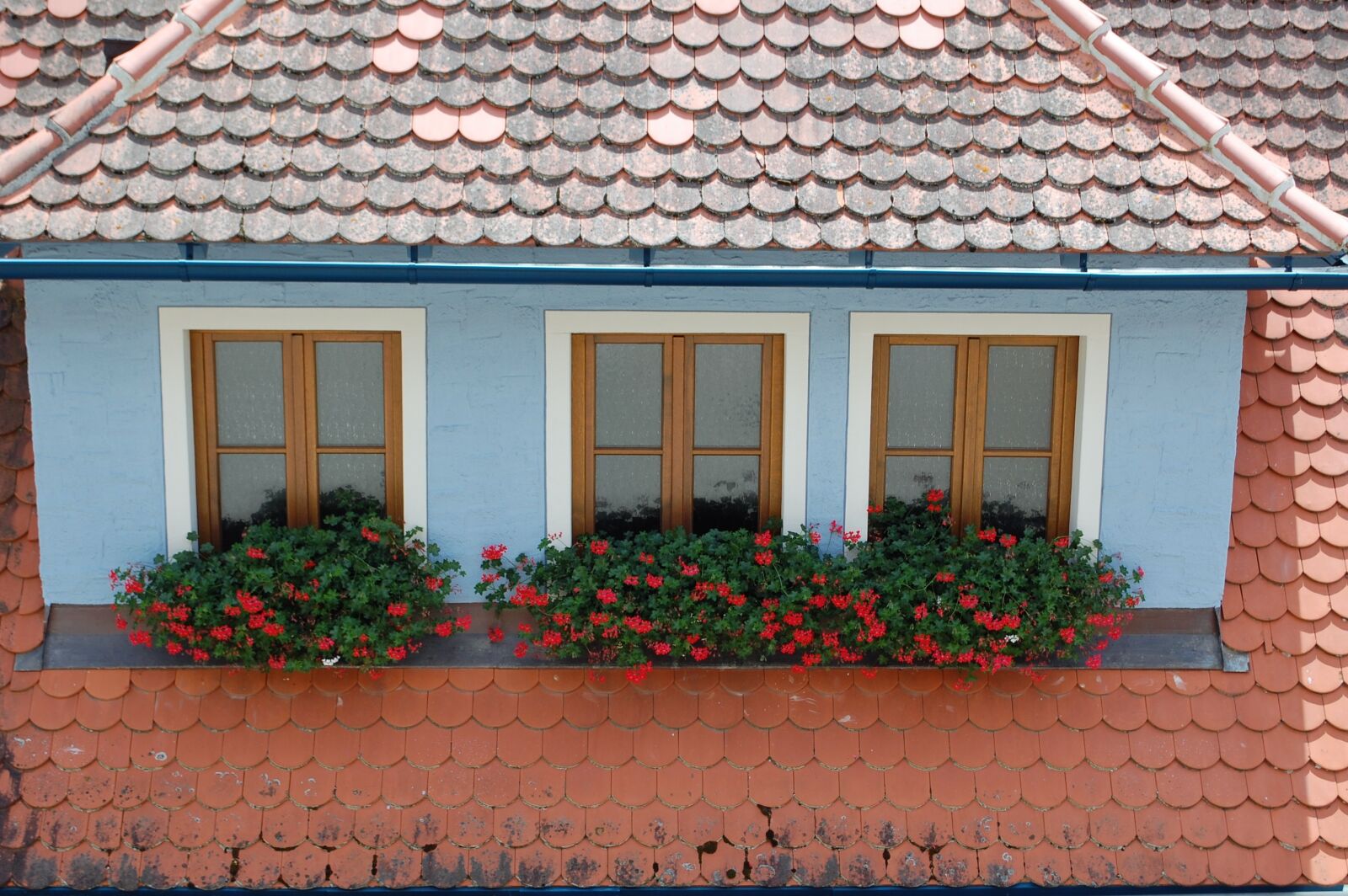 Nikon D40 sample photo. Rothenburg, window, historic center photography