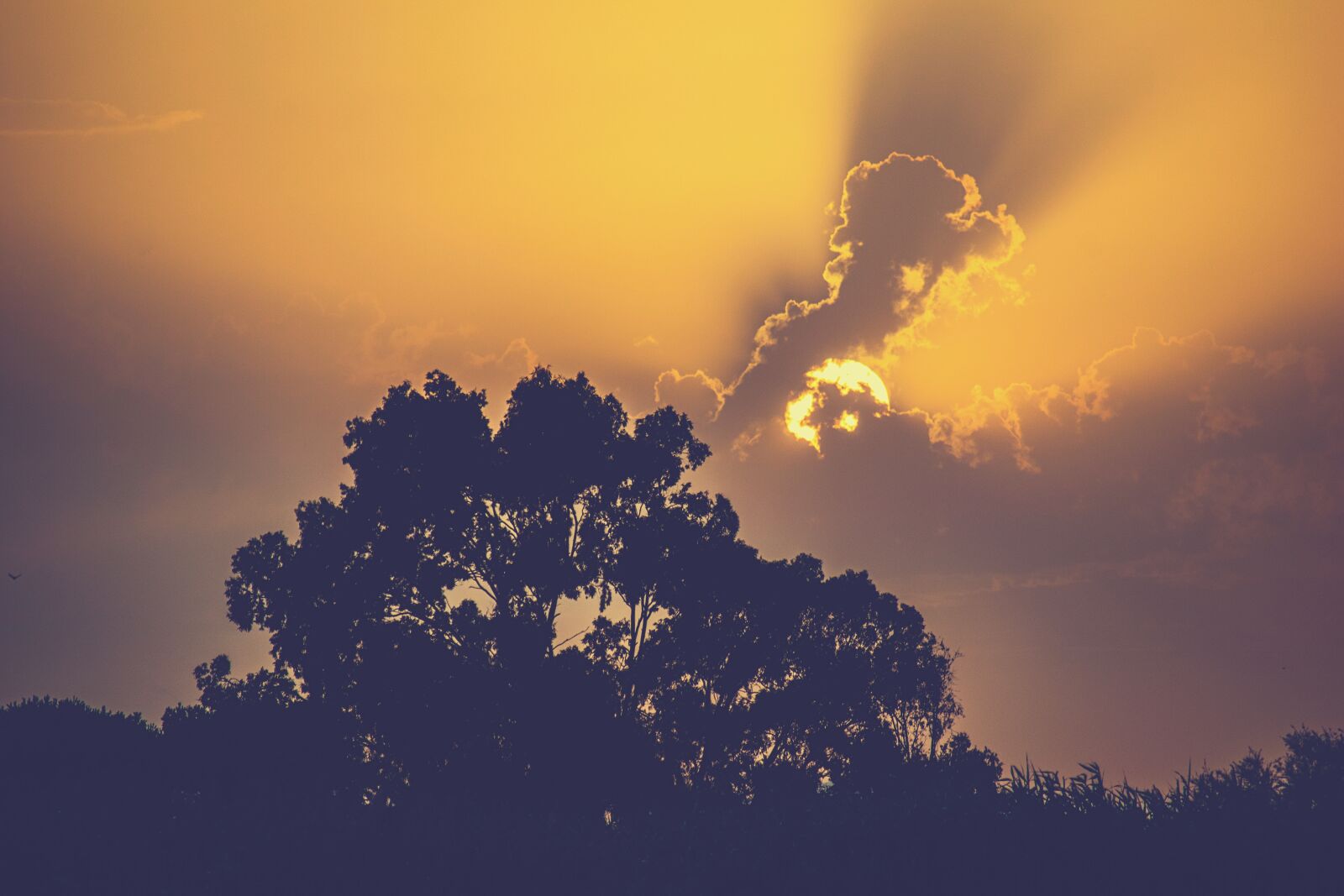 Nikon D3300 sample photo. Sunset, sky, sun photography