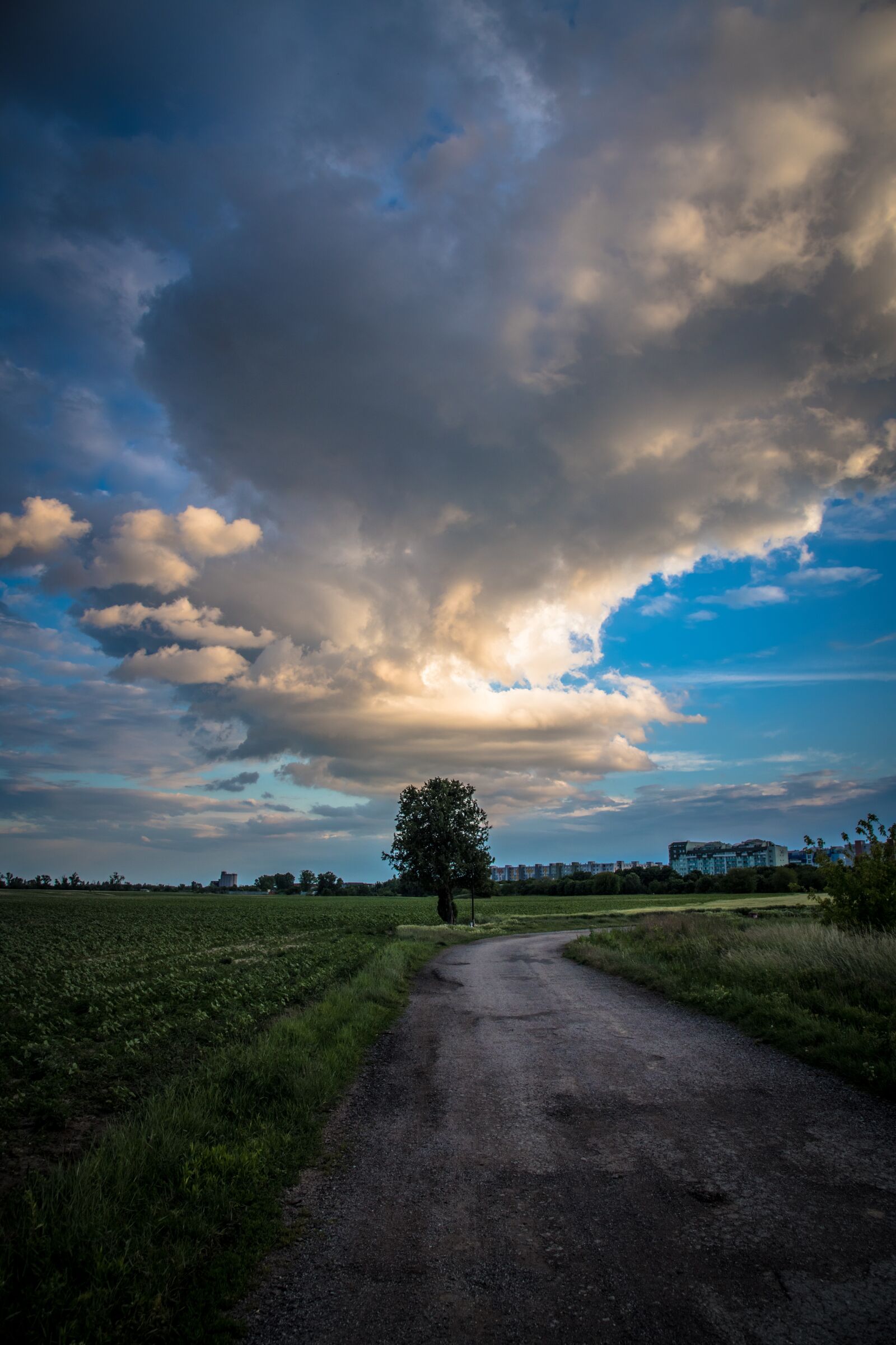 Nikon D850 sample photo. Cloud, storm, tree photography