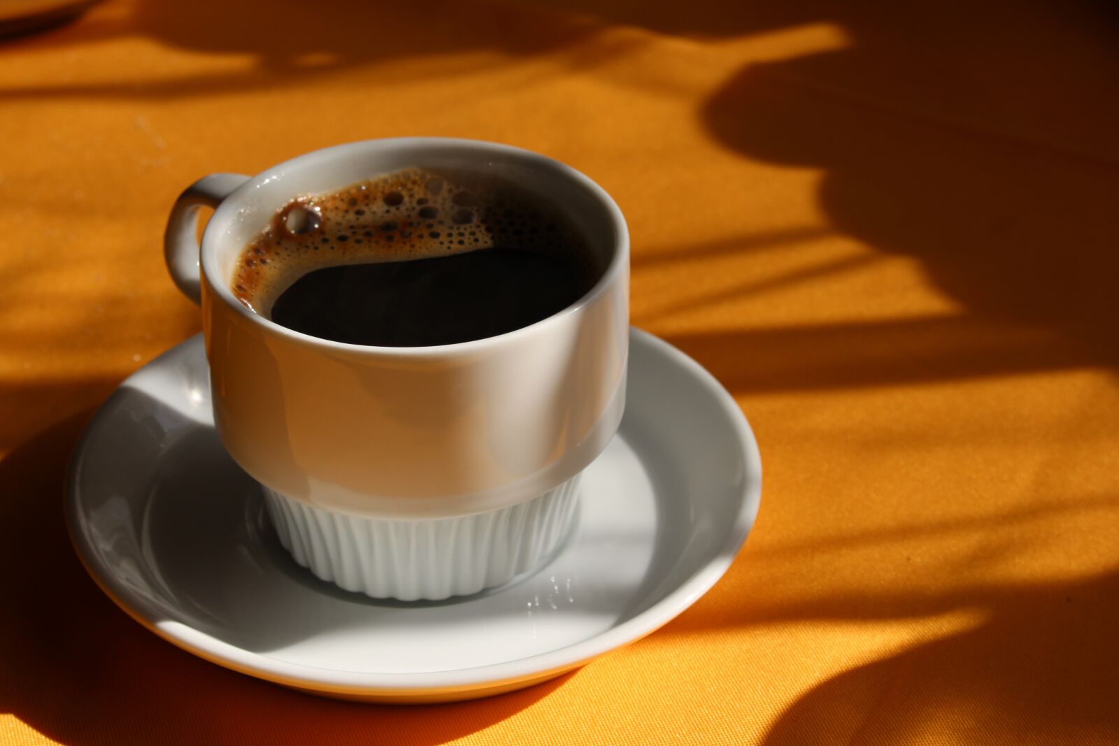 Canon EOS 700D (EOS Rebel T5i / EOS Kiss X7i) sample photo. Coffee, temperature, color photography