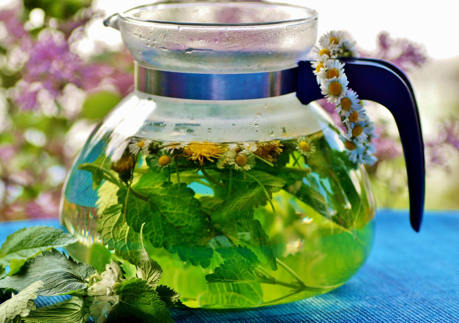 Sony SLT-A58 sample photo. Herbal, tea, the infusion photography