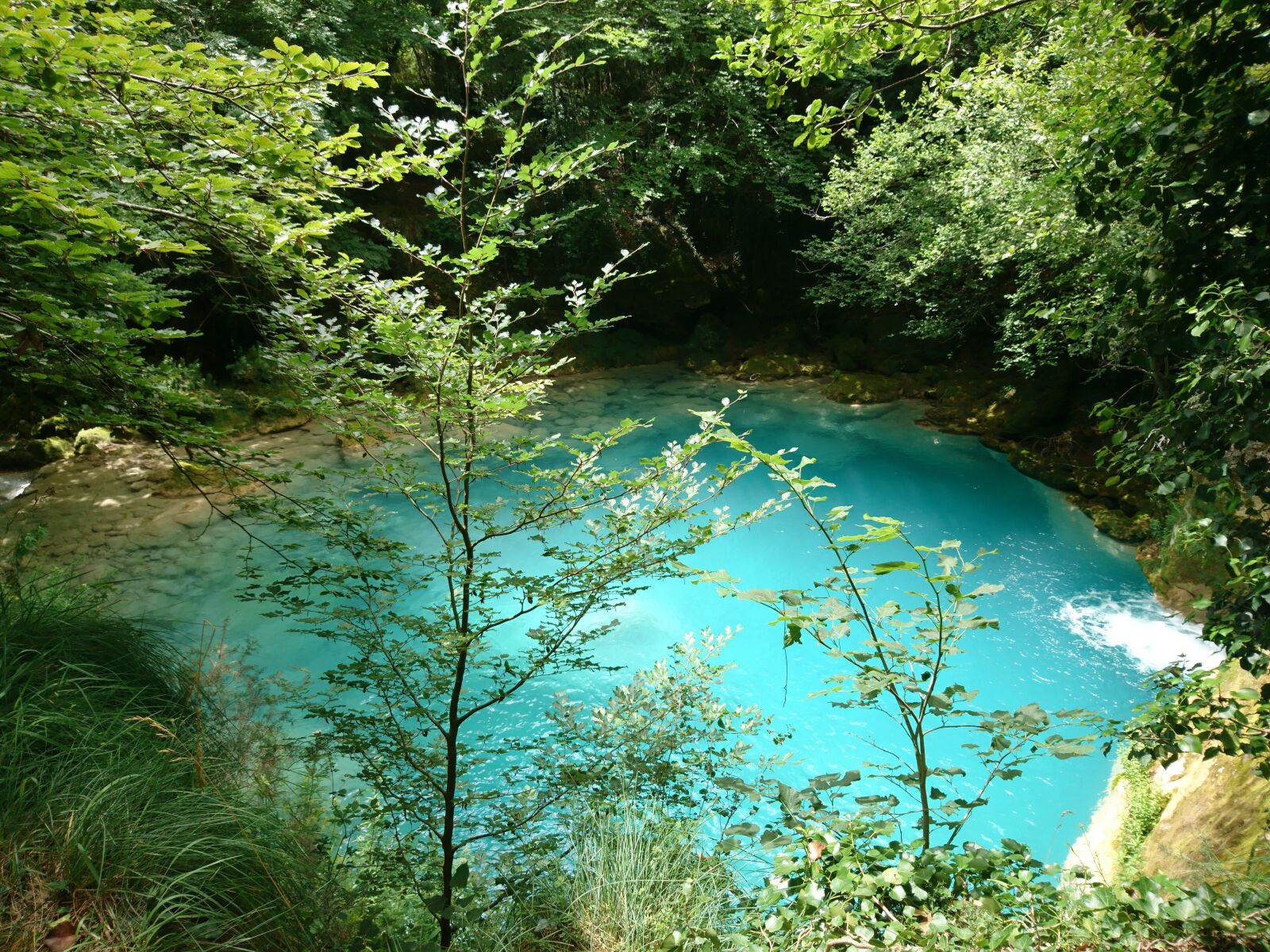 Sony Xperia X Compact sample photo. River, forest, blue photography