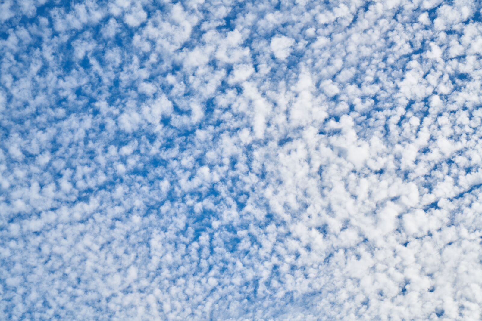 Sony a7R II sample photo. Cloud, blue, sky photography
