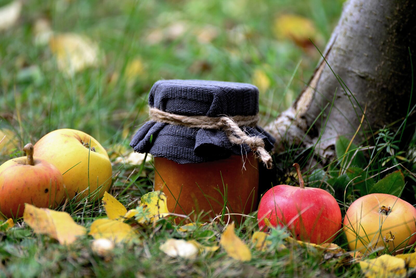 Nikon D610 sample photo. Jam, apple jam, apple photography