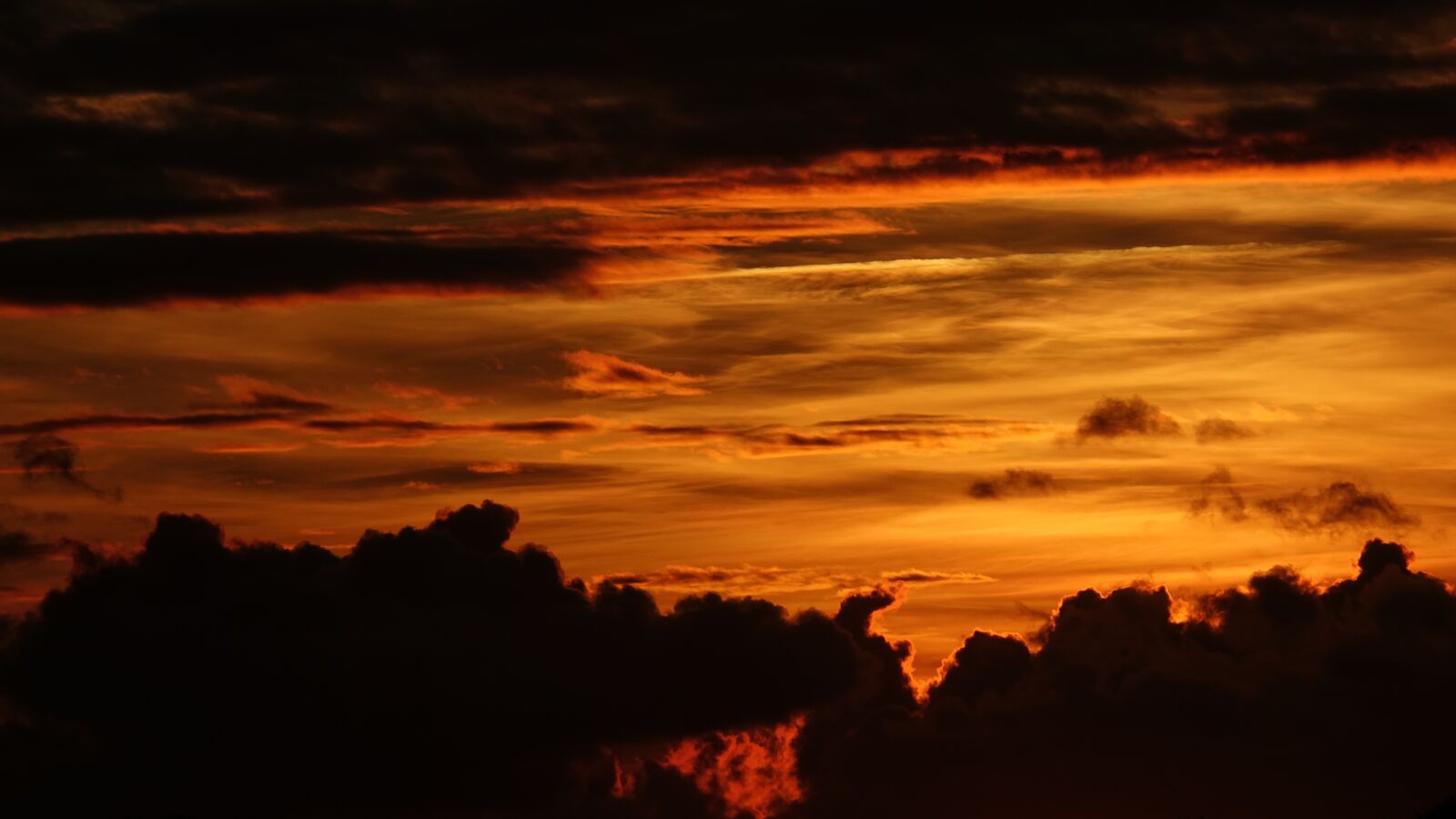 Sony Cyber-shot DSC-RX10 III sample photo. Sunset, twilight, field photography