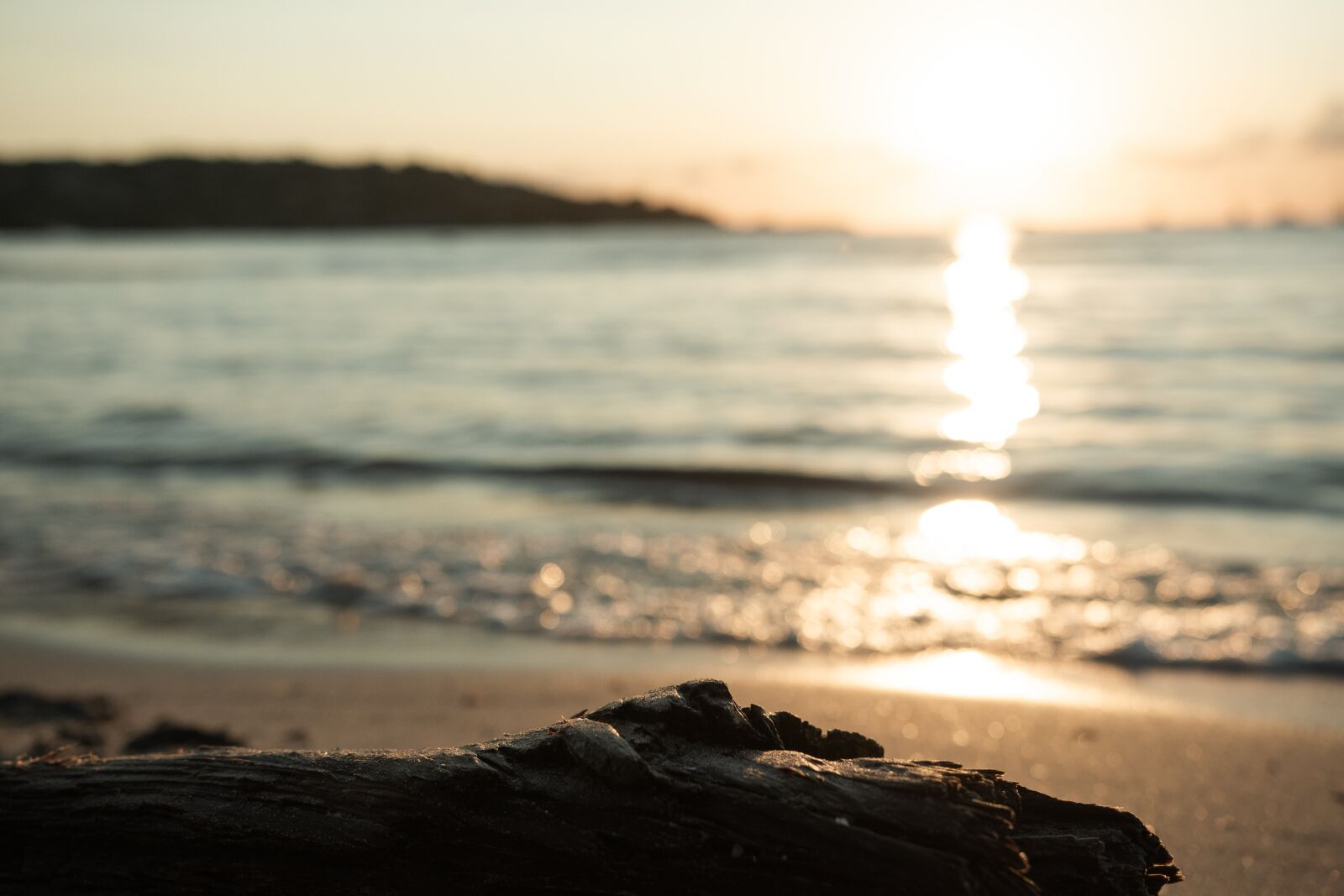 Nikon D5600 sample photo. Sun, sea, corsica photography