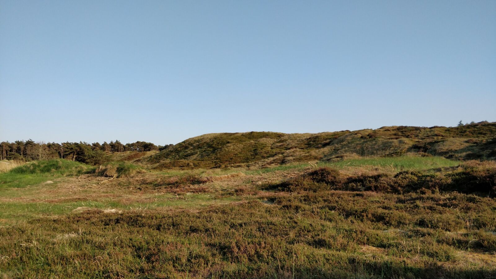 OnePlus 5 sample photo. Nature, sky, peaceful photography